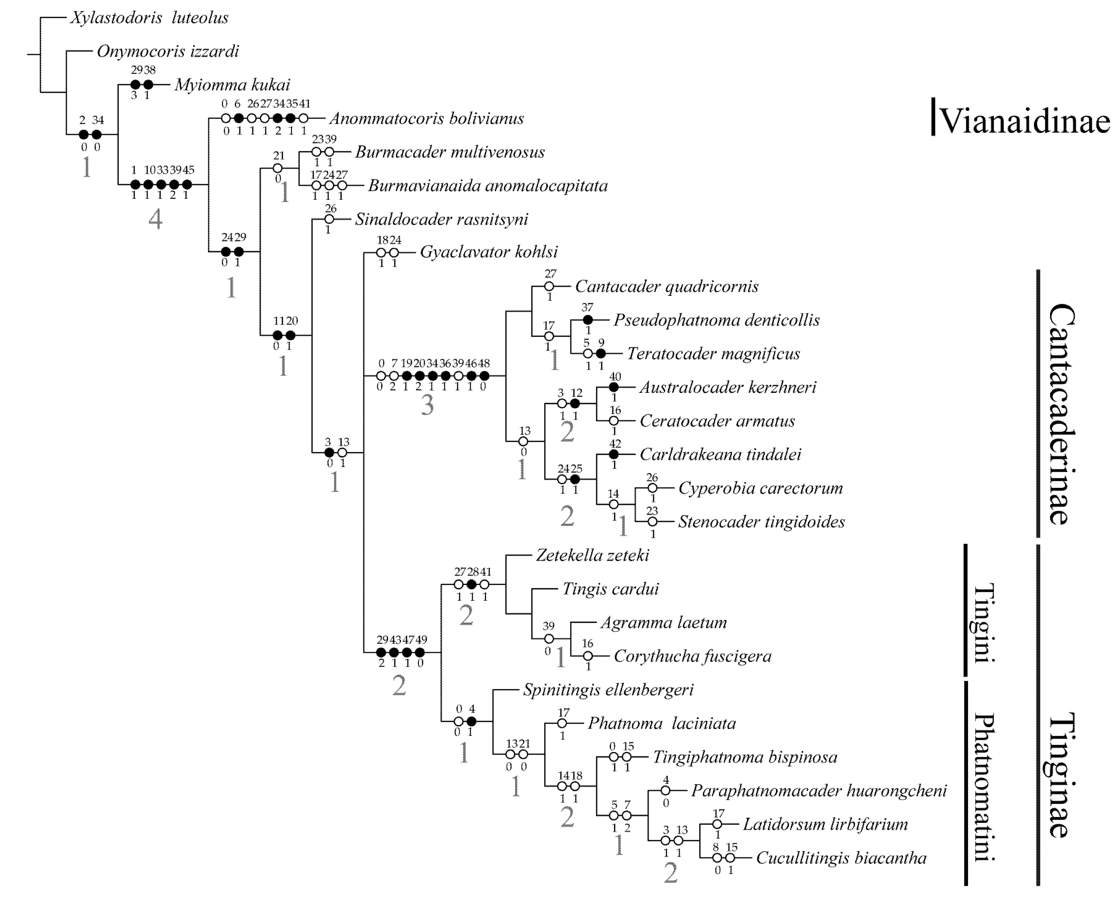 Insects 12 00887 g003