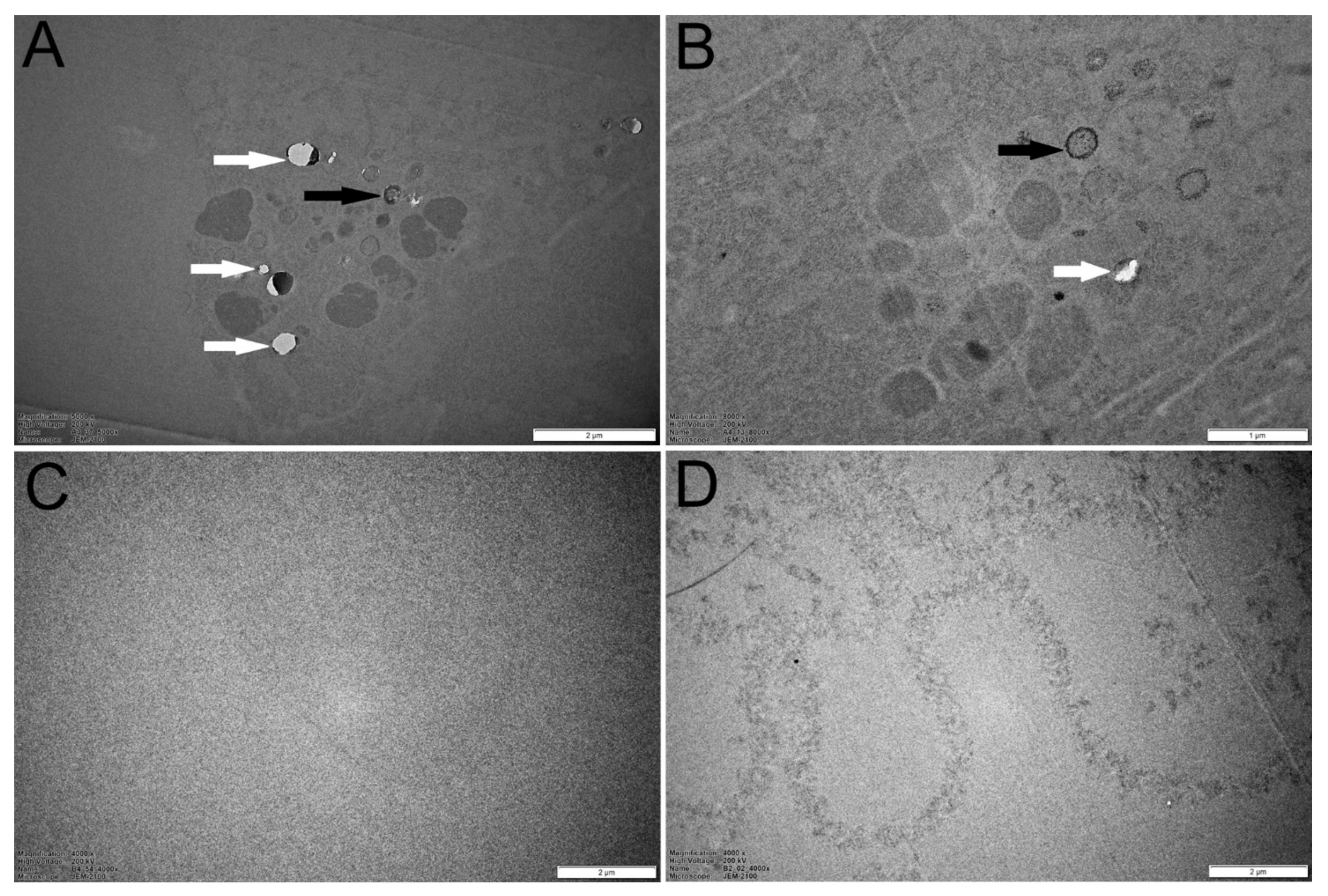 Insects 12 00888 g006 Insects 12 00888 g006