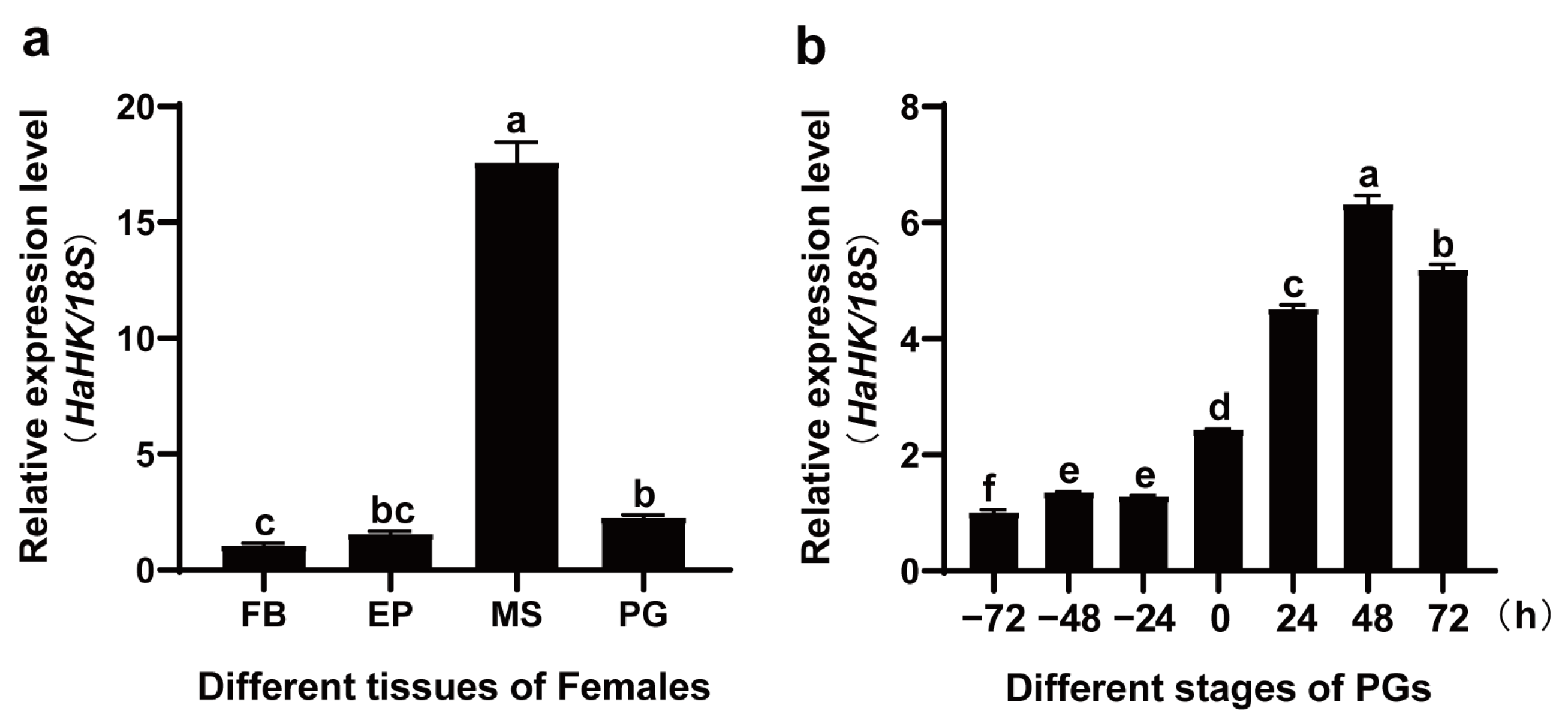 Insects 12 00889 g001