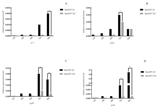 Pathogenicity Detection and Genome Analysis of Two Different