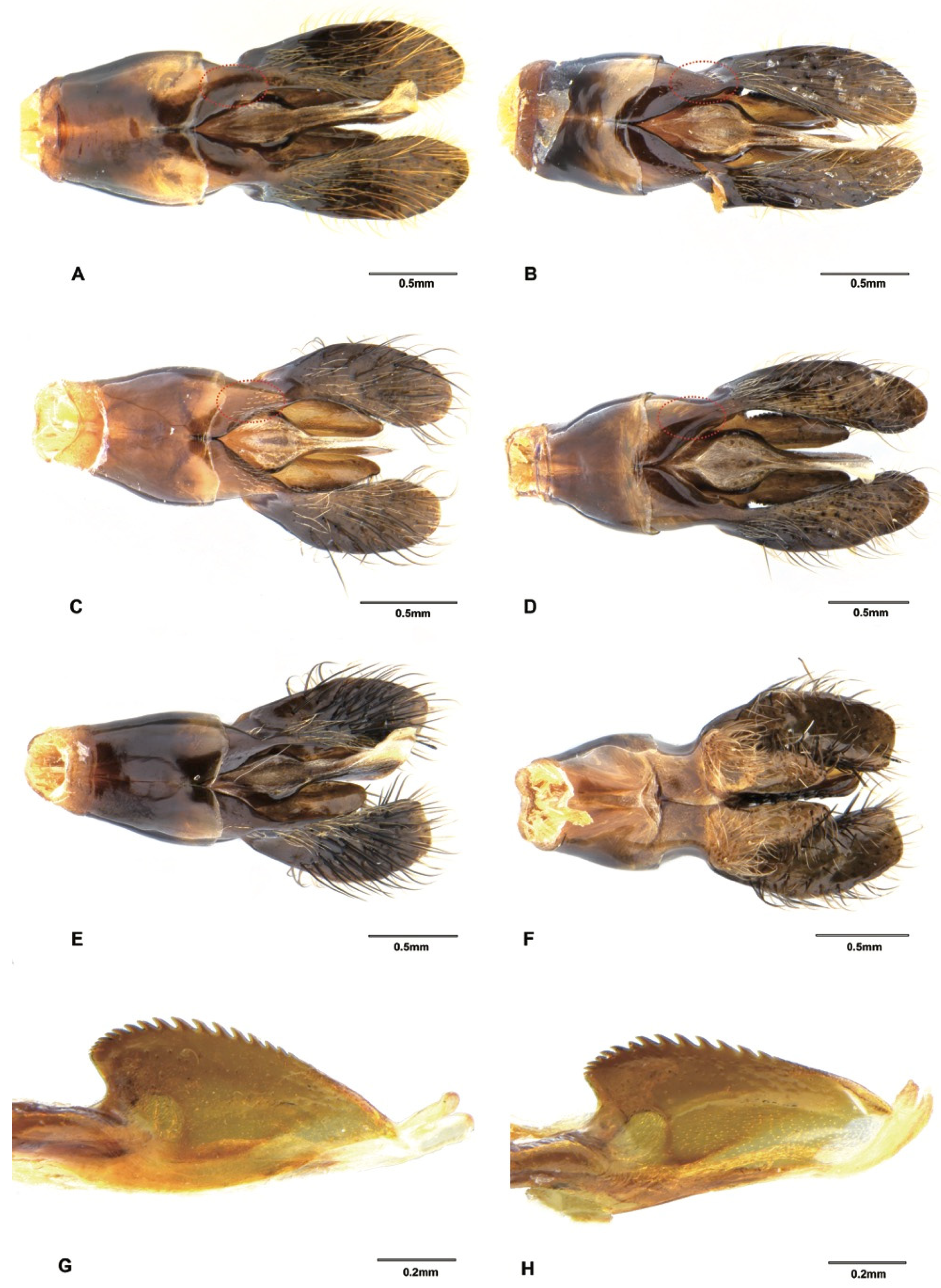 Insects 12 00892 g007 550