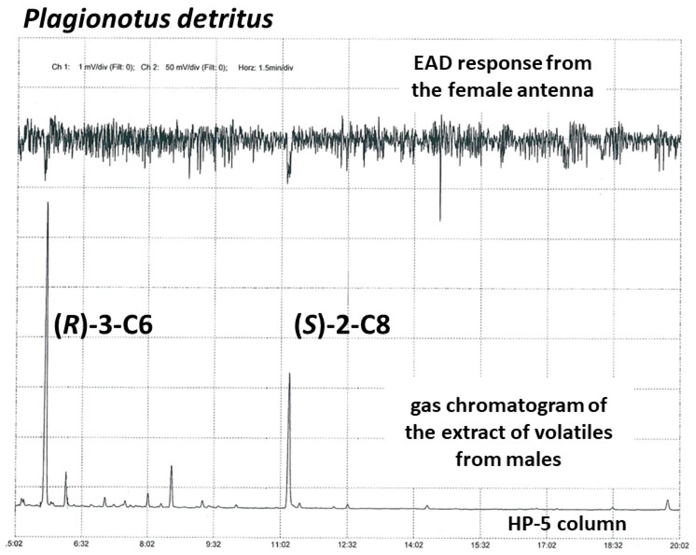 Insects 12 00899 g002 550