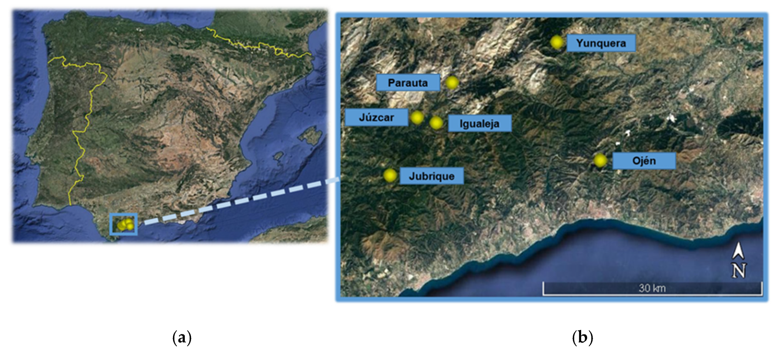 Insects 12 00900 g001