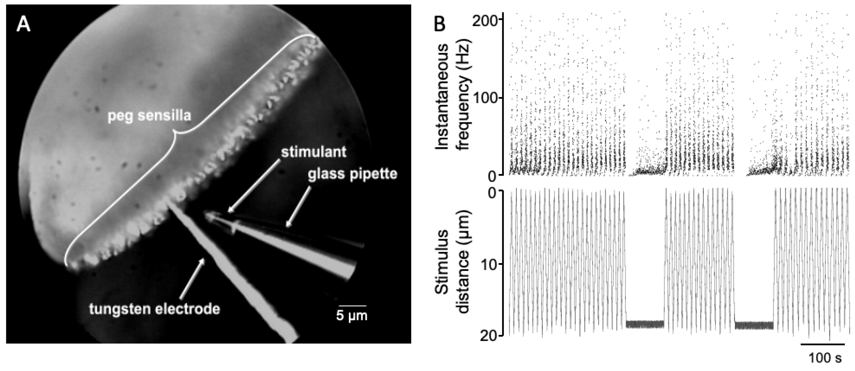 Insects 12 00904 g006 Insects 12 00904 g006