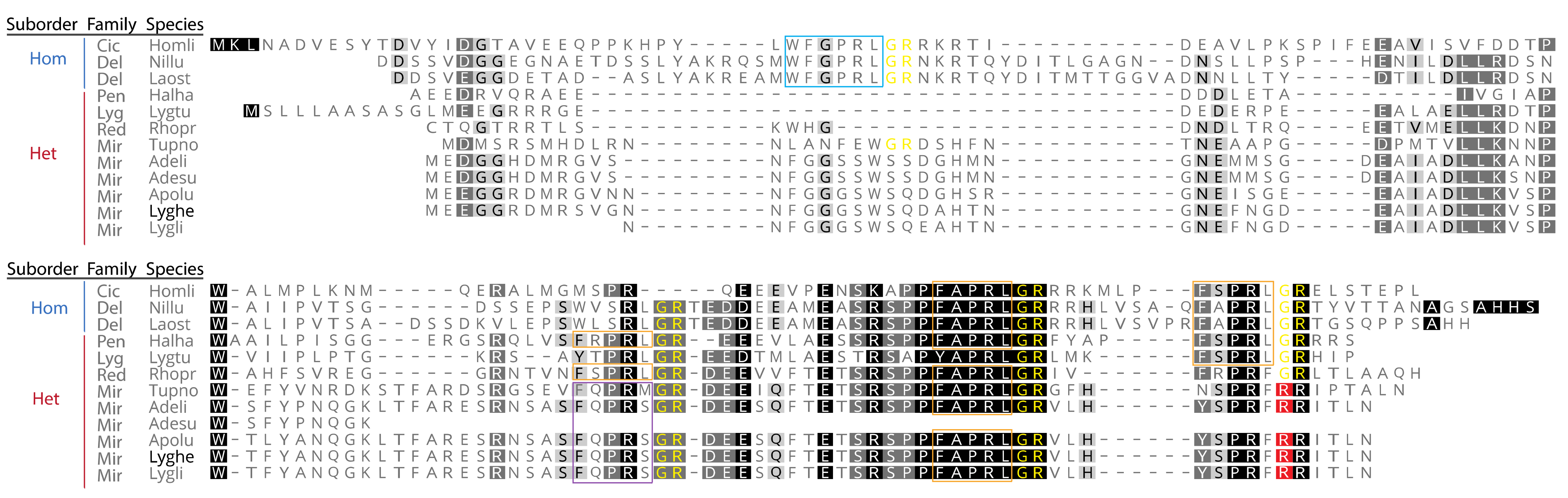 Insects 12 00914 g003