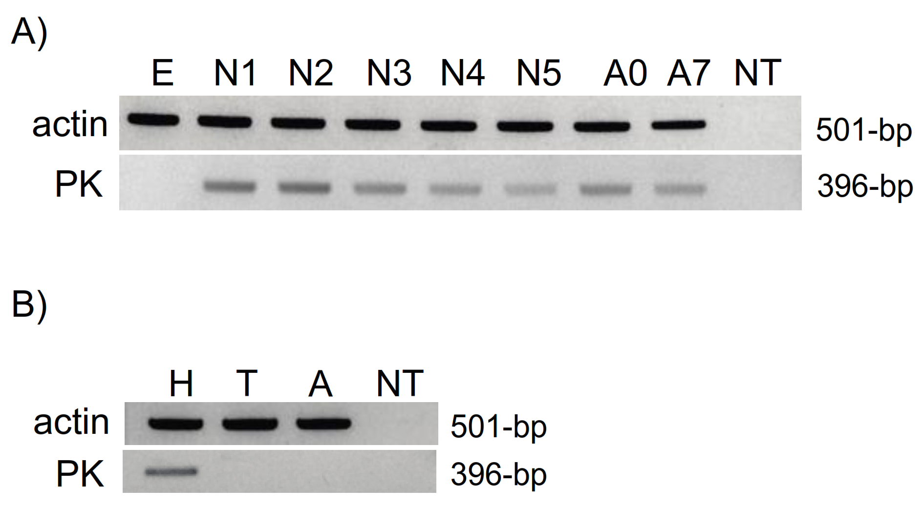 Insects 12 00914 g004