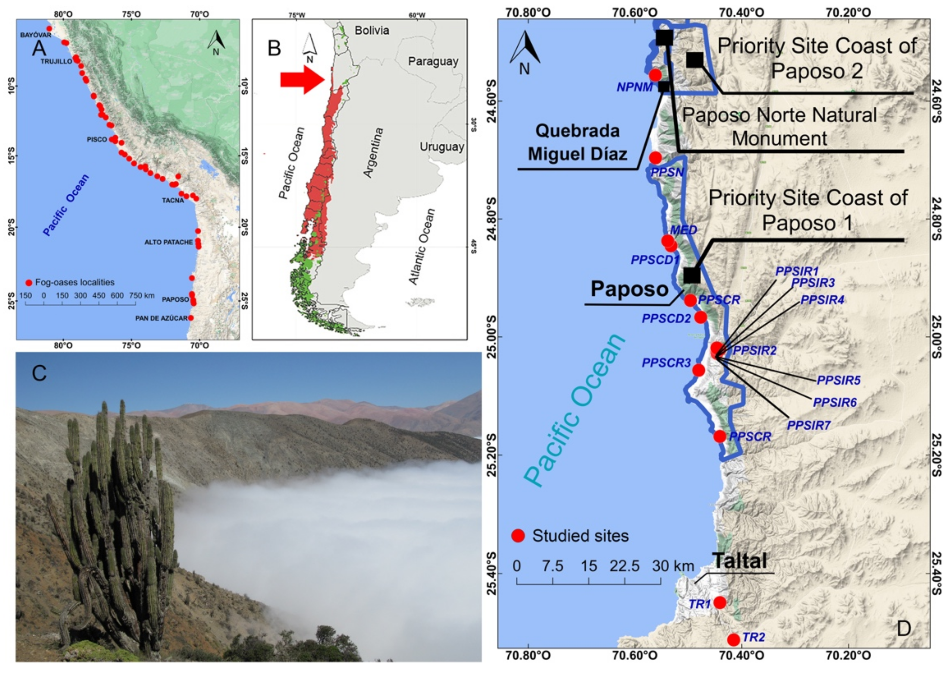 Insects 12 00916 g001