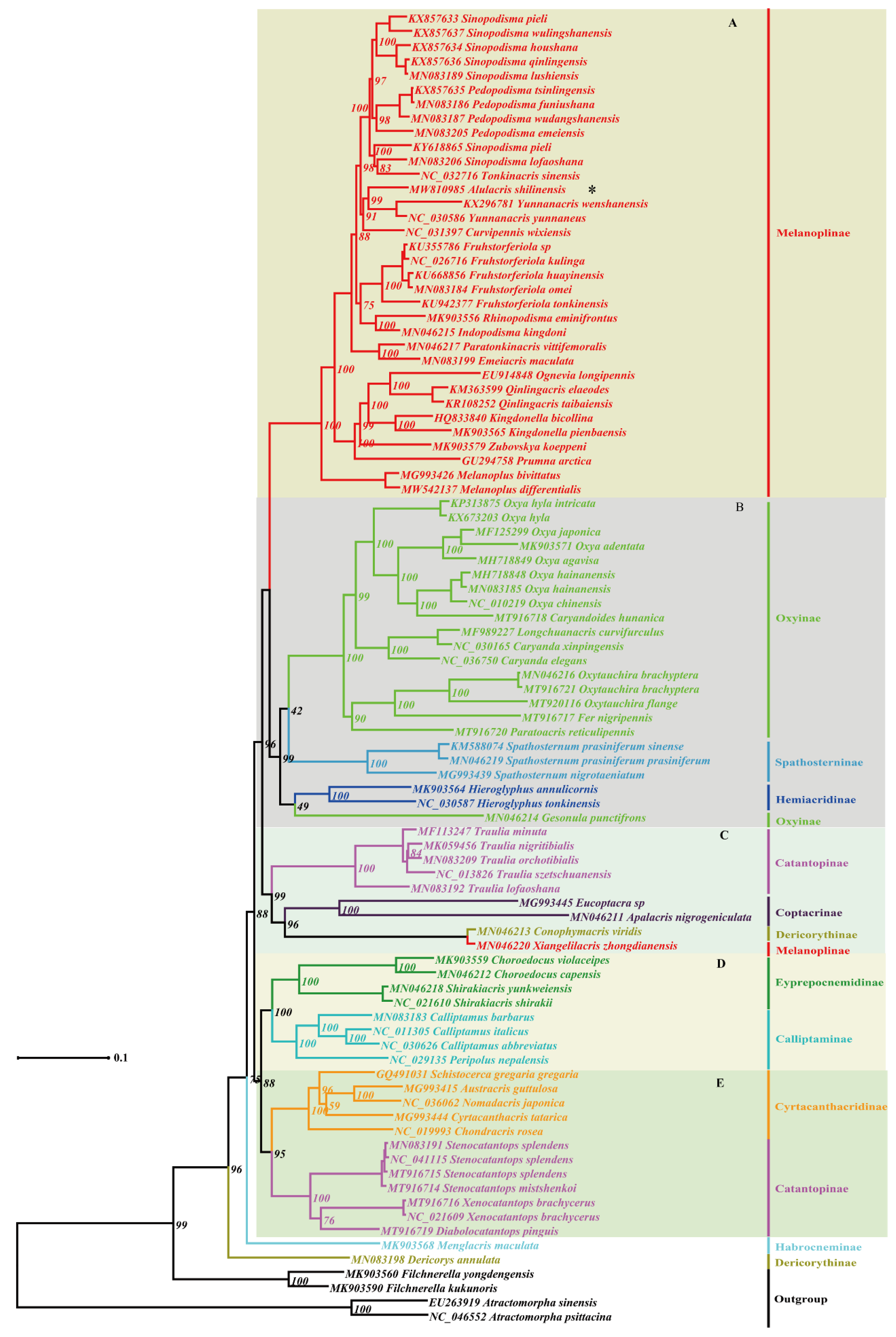 Insects 12 00918 g002