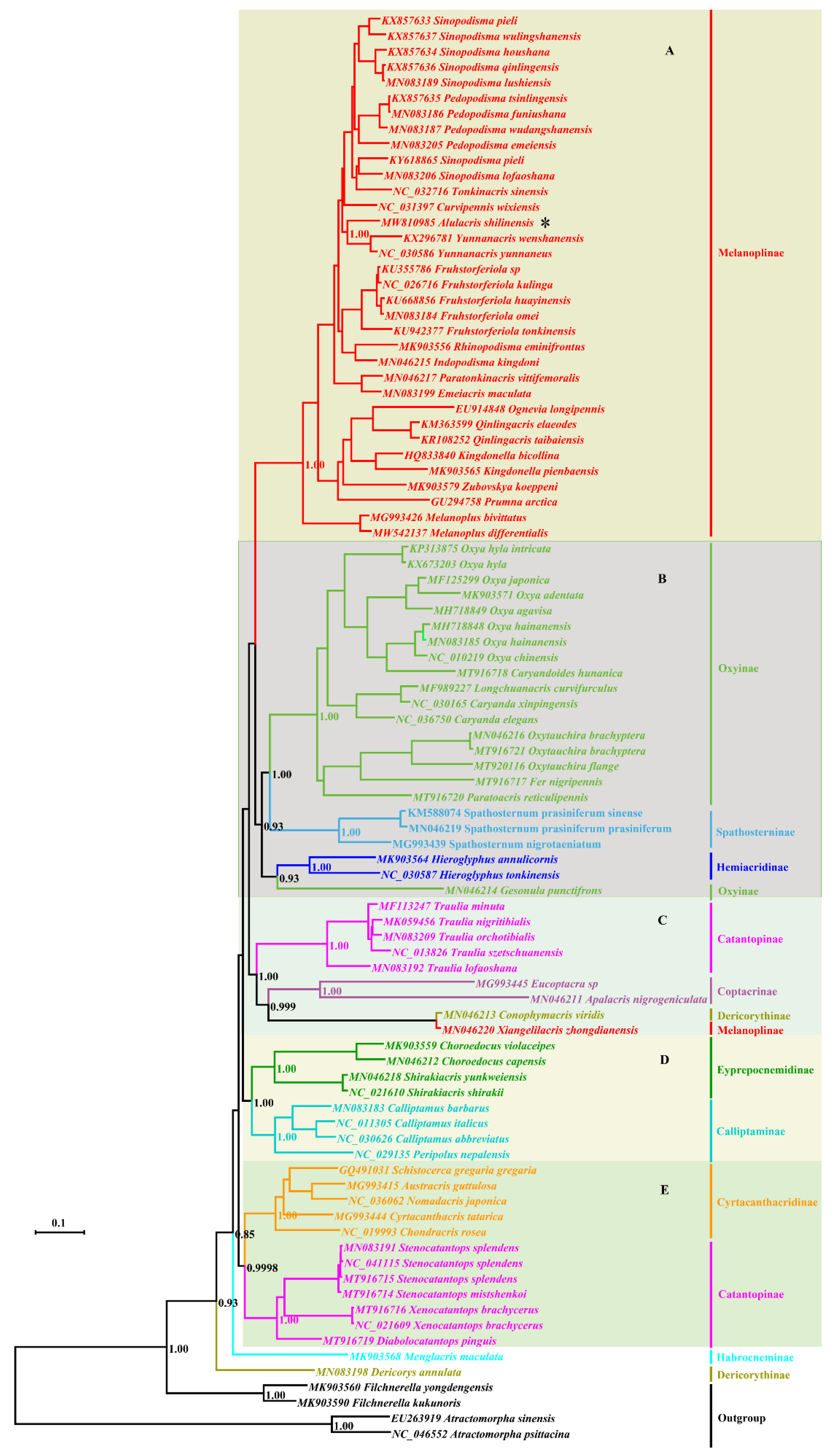 Insects 12 00918 g003