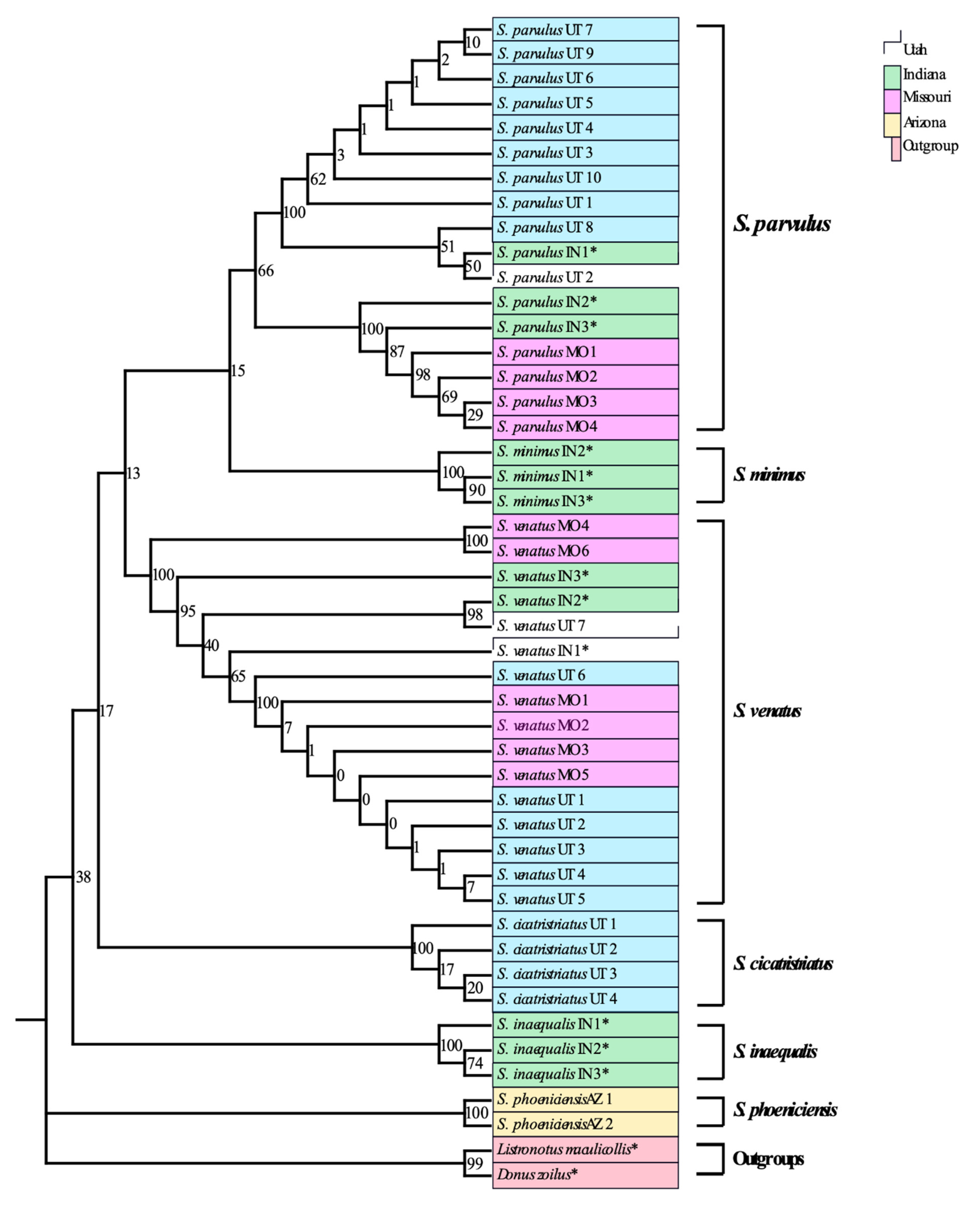 Insects 12 00930 g001