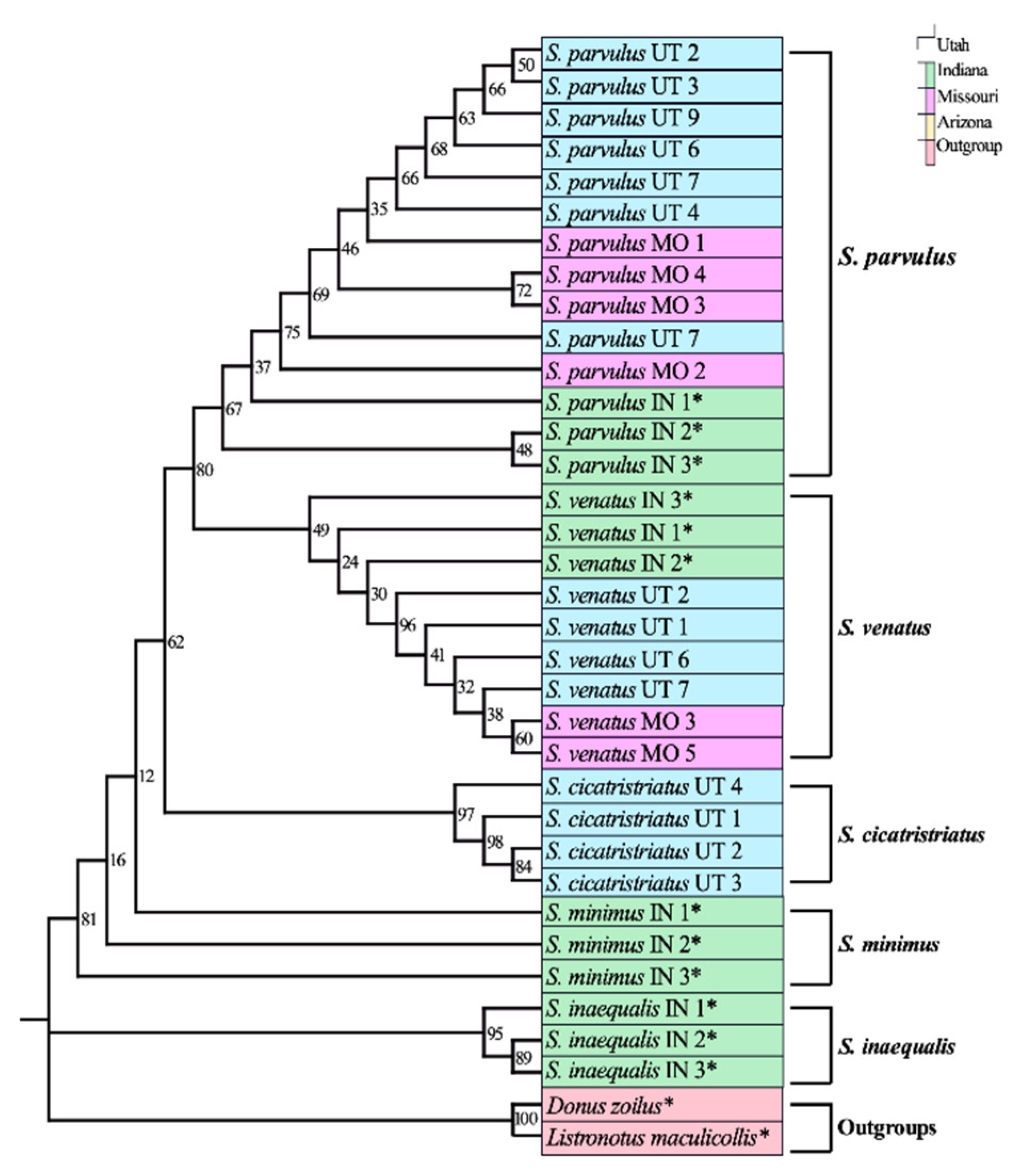 Insects 12 00930 g002