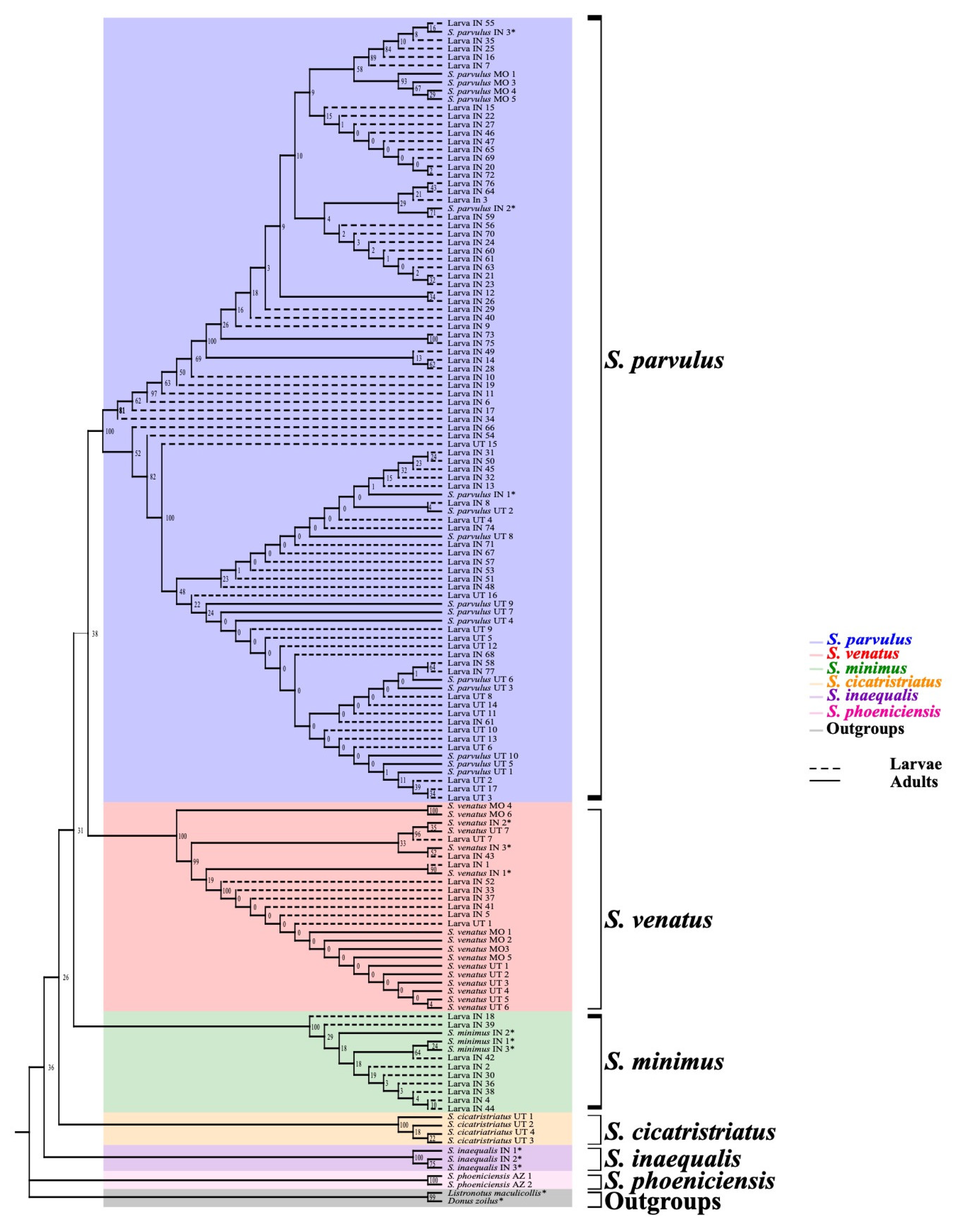 Insects 12 00930 g005
