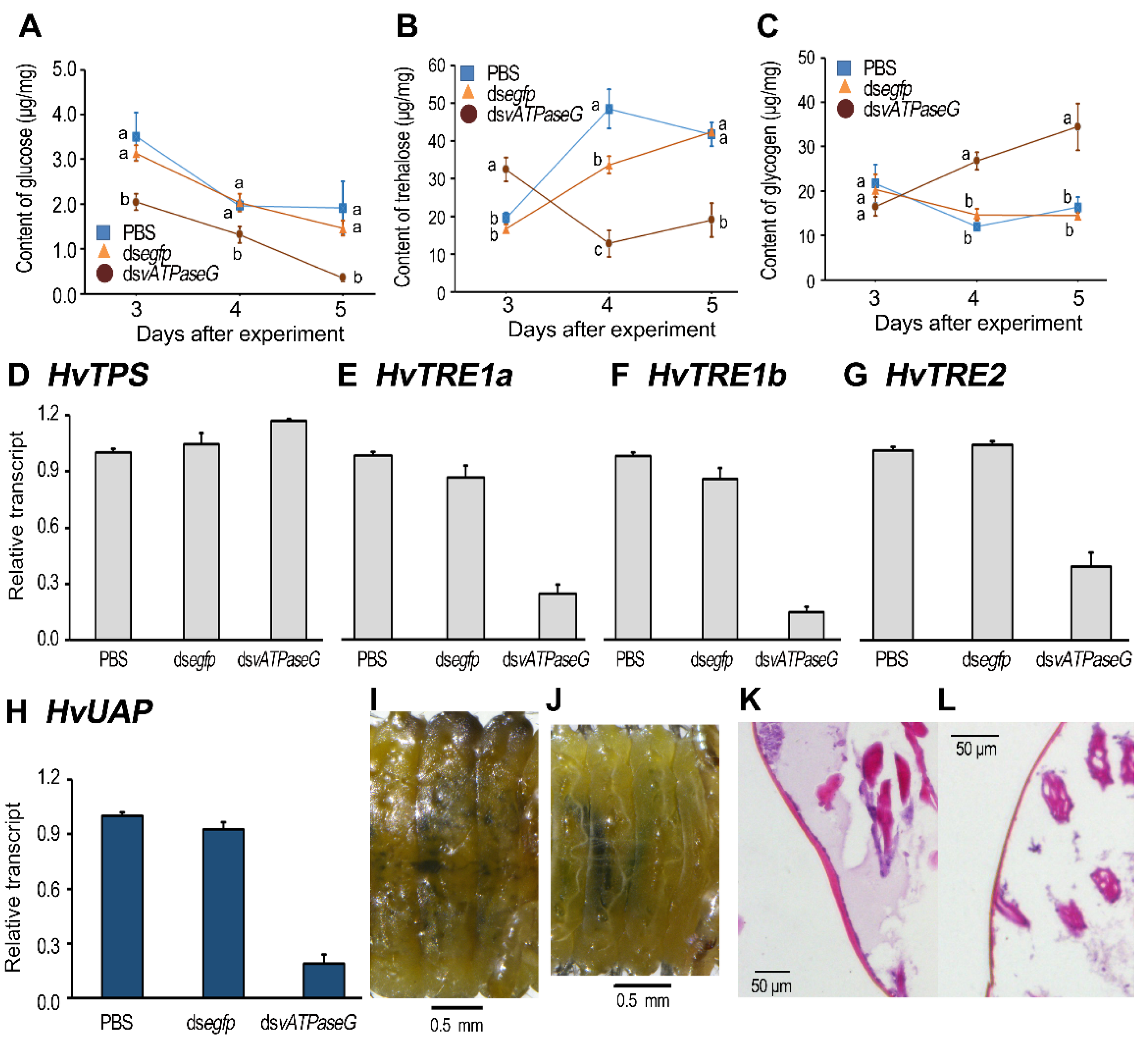 Insects 12 00935 g005