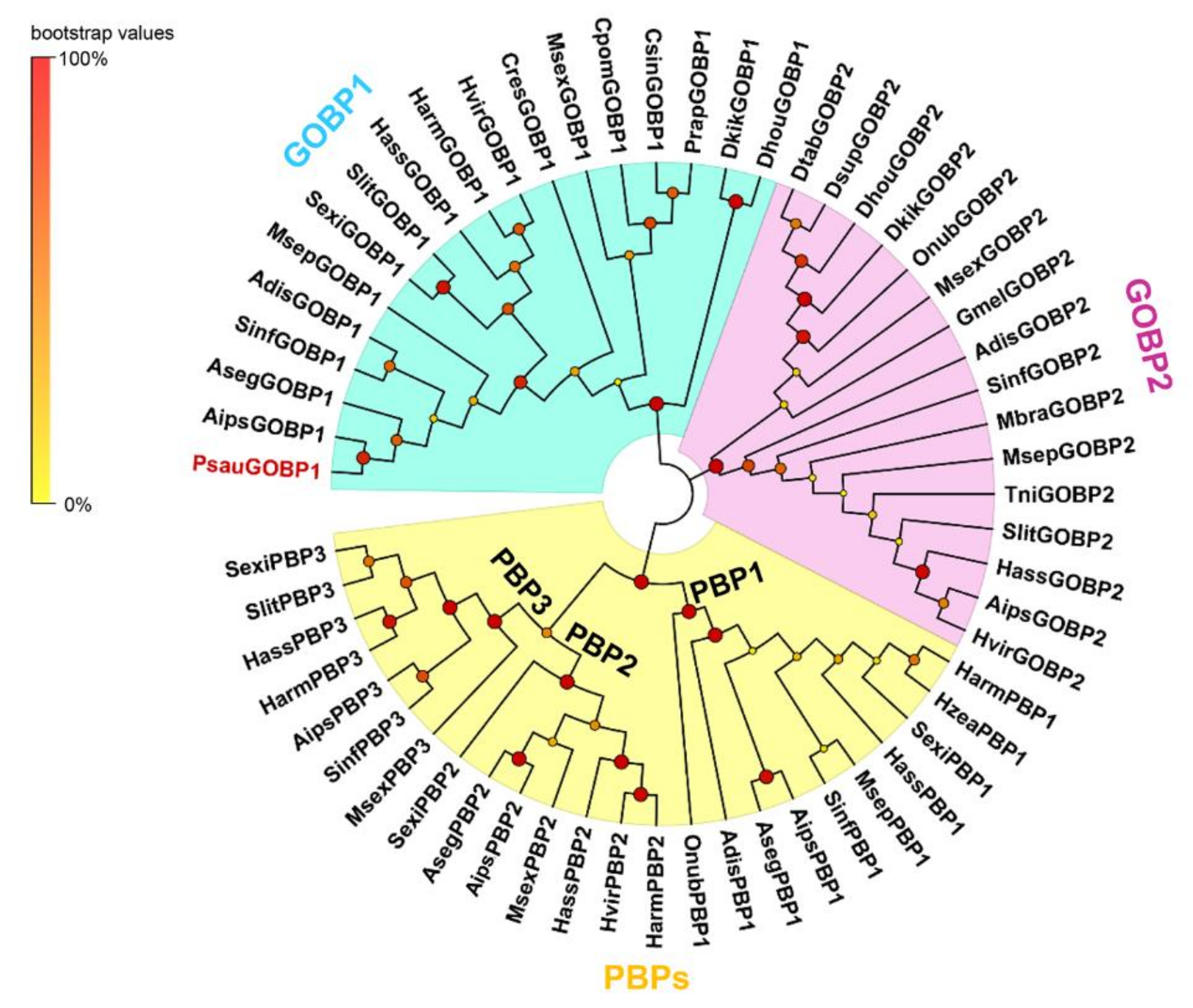 Insects 12 00939 g002