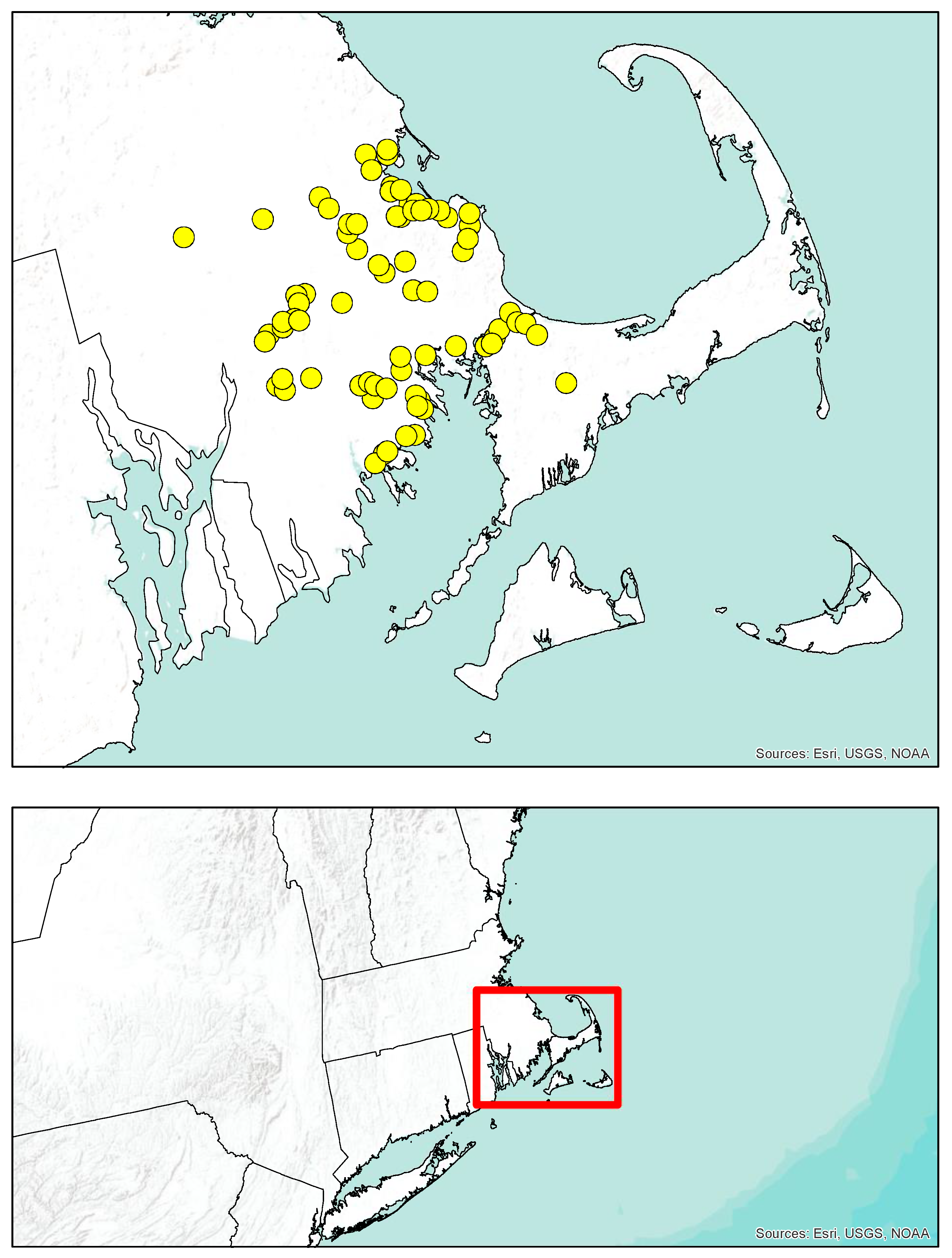 Insects 12 00941 g001