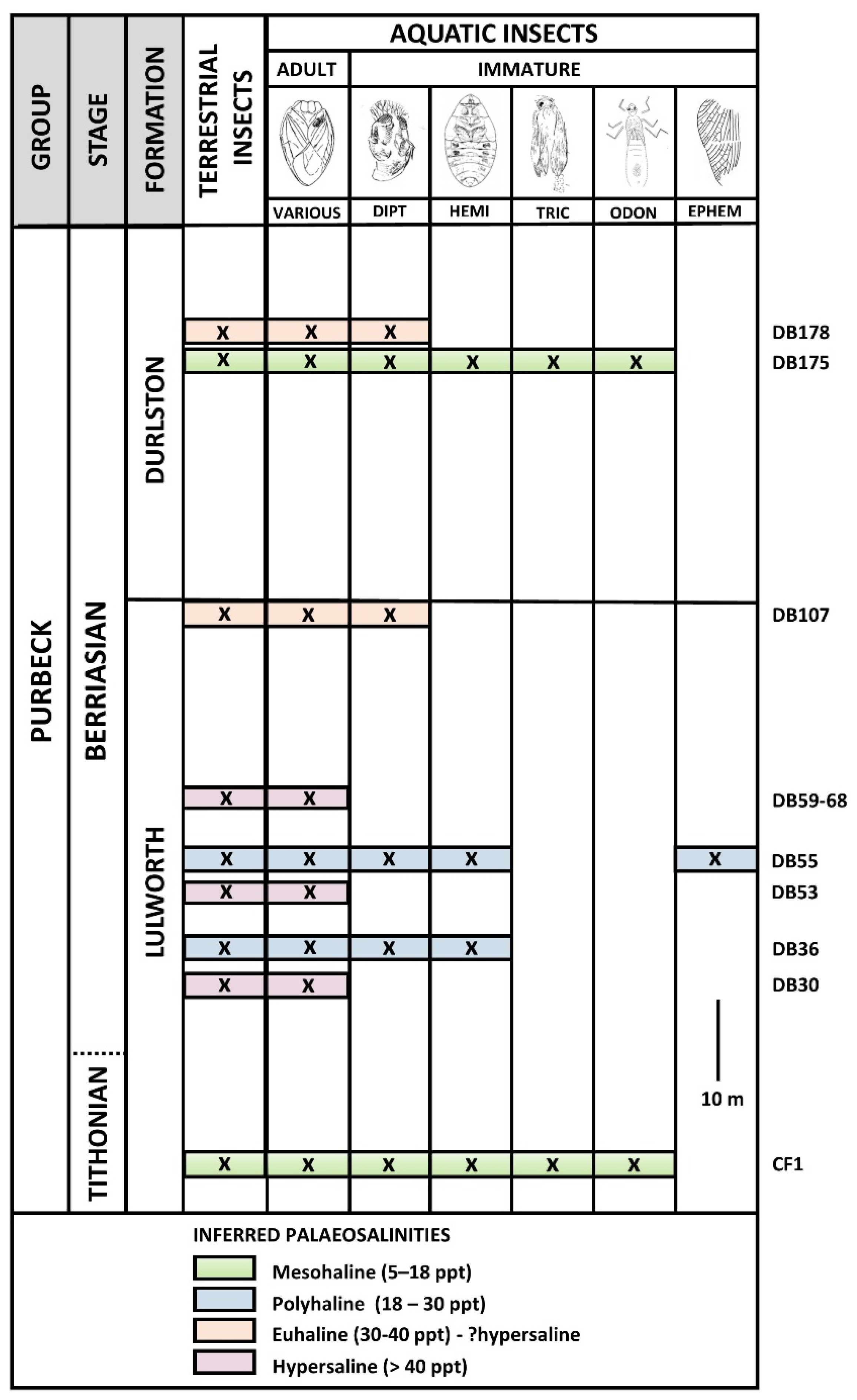 Insects 12 00942 g002