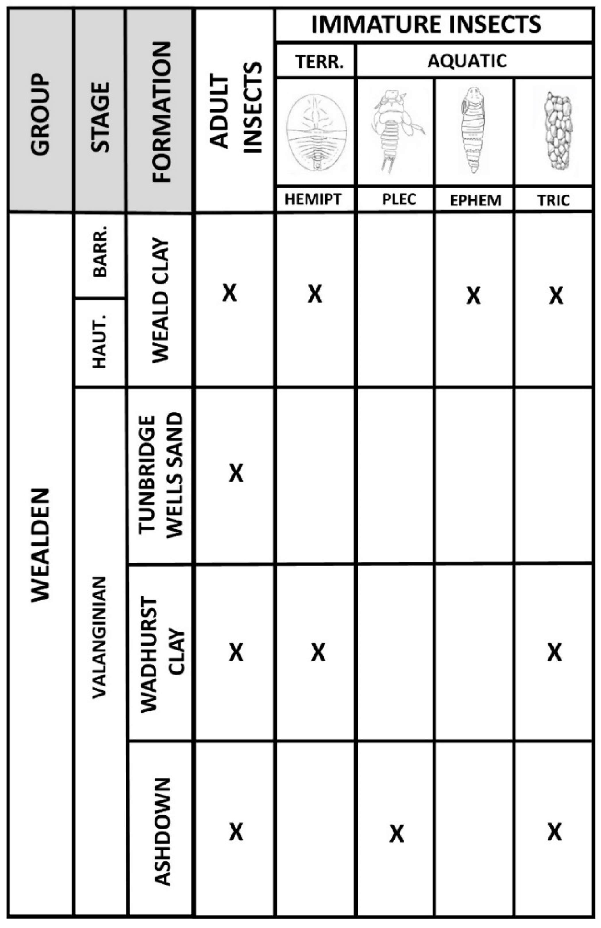 Insects 12 00942 g003