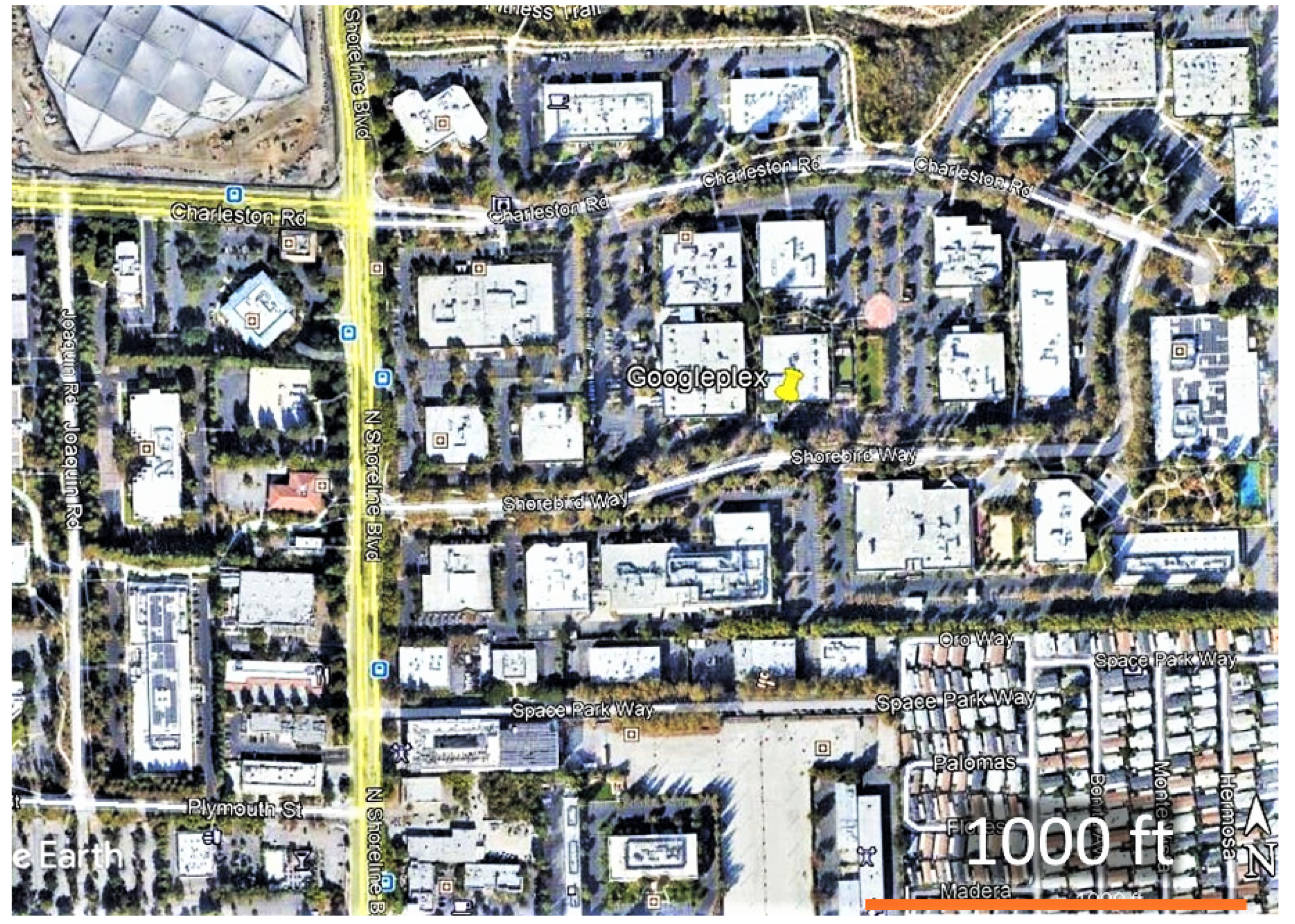 Insects 12 00946 g002