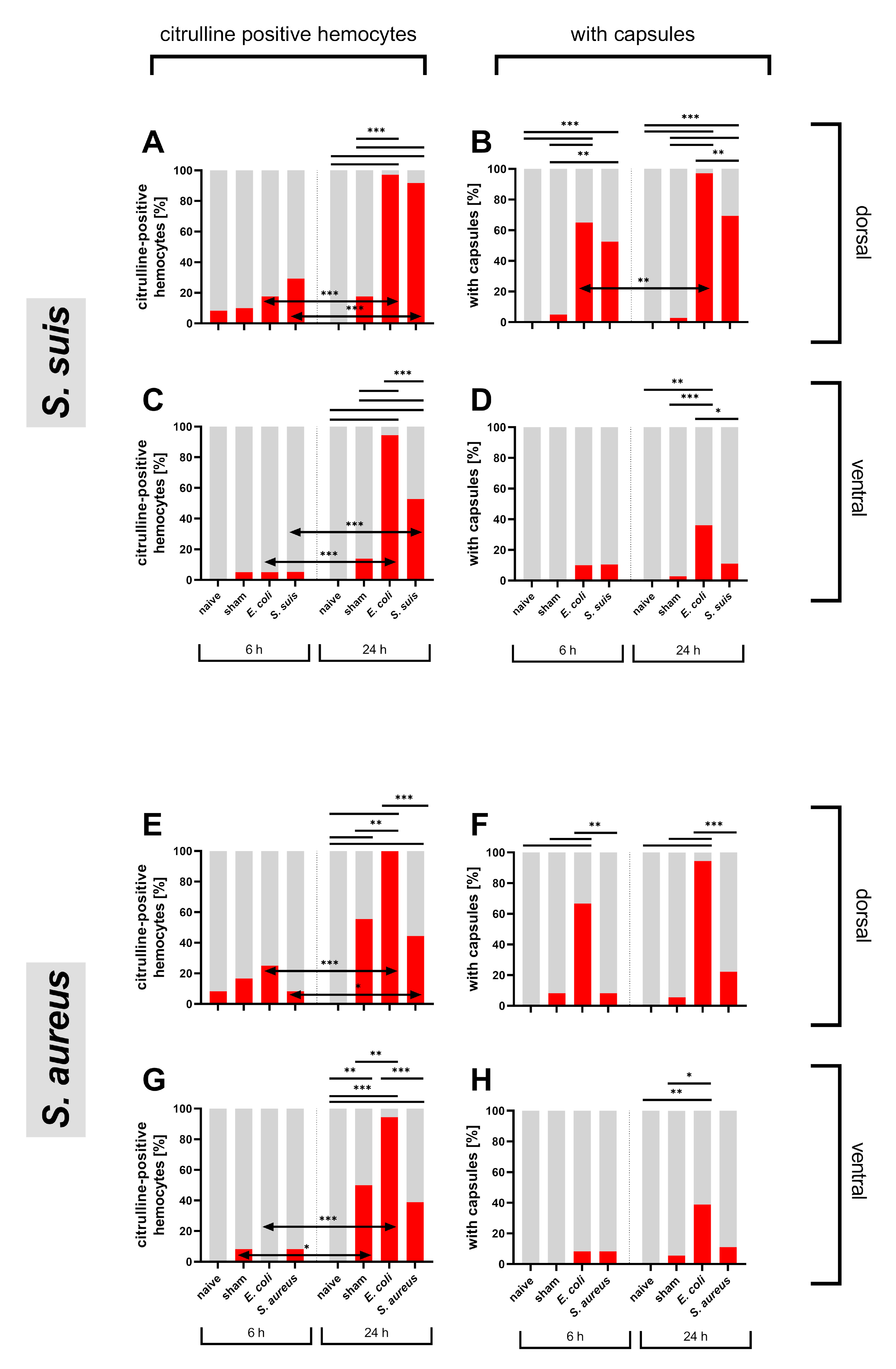 Insects 12 00951 g004