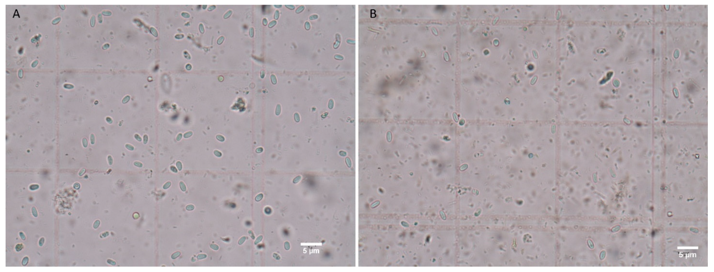 Insects 12 00953 g002 Insects 12 00953 g002