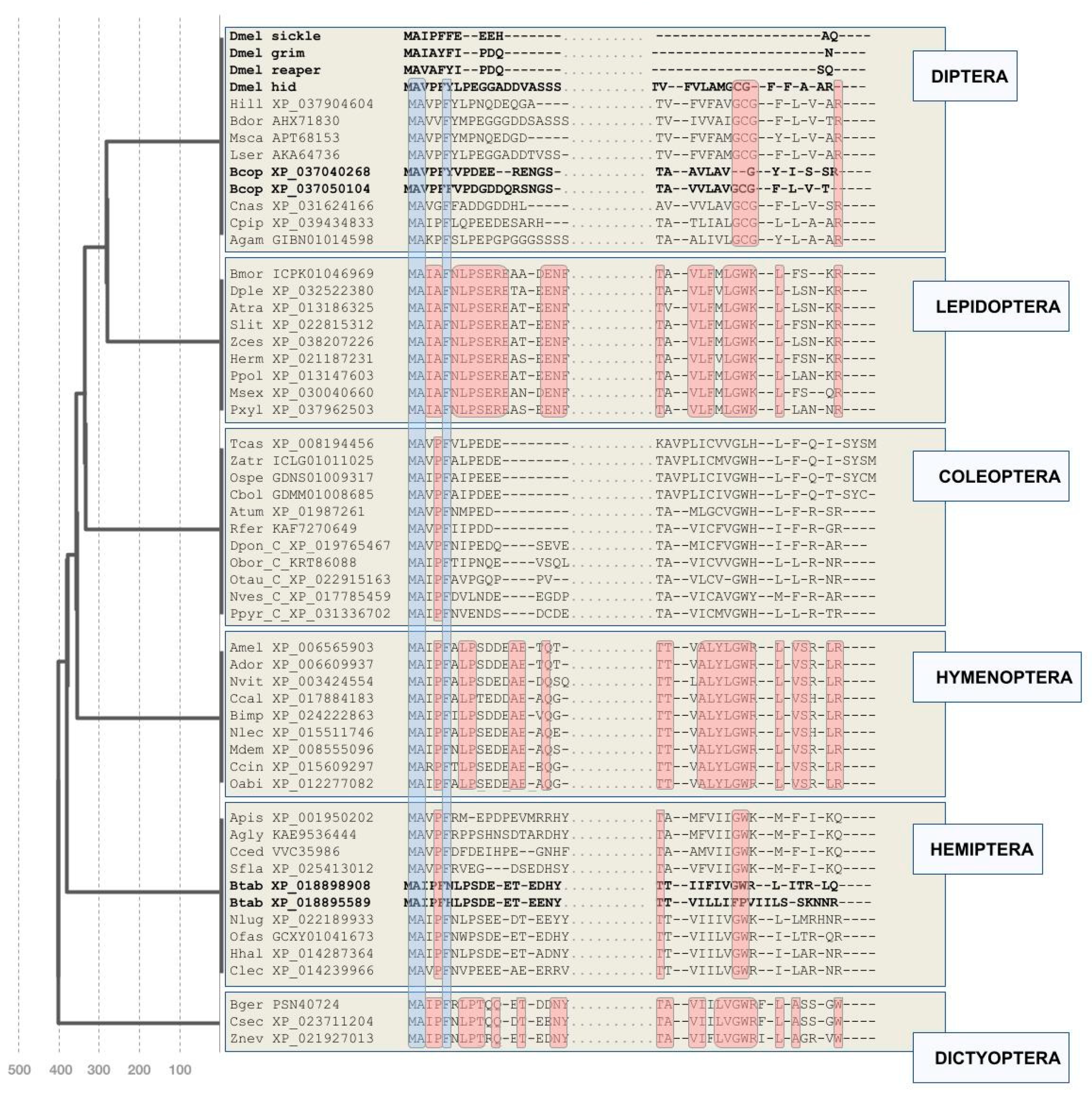 Insects 12 00957 g001 Insects 12 00957 g001
