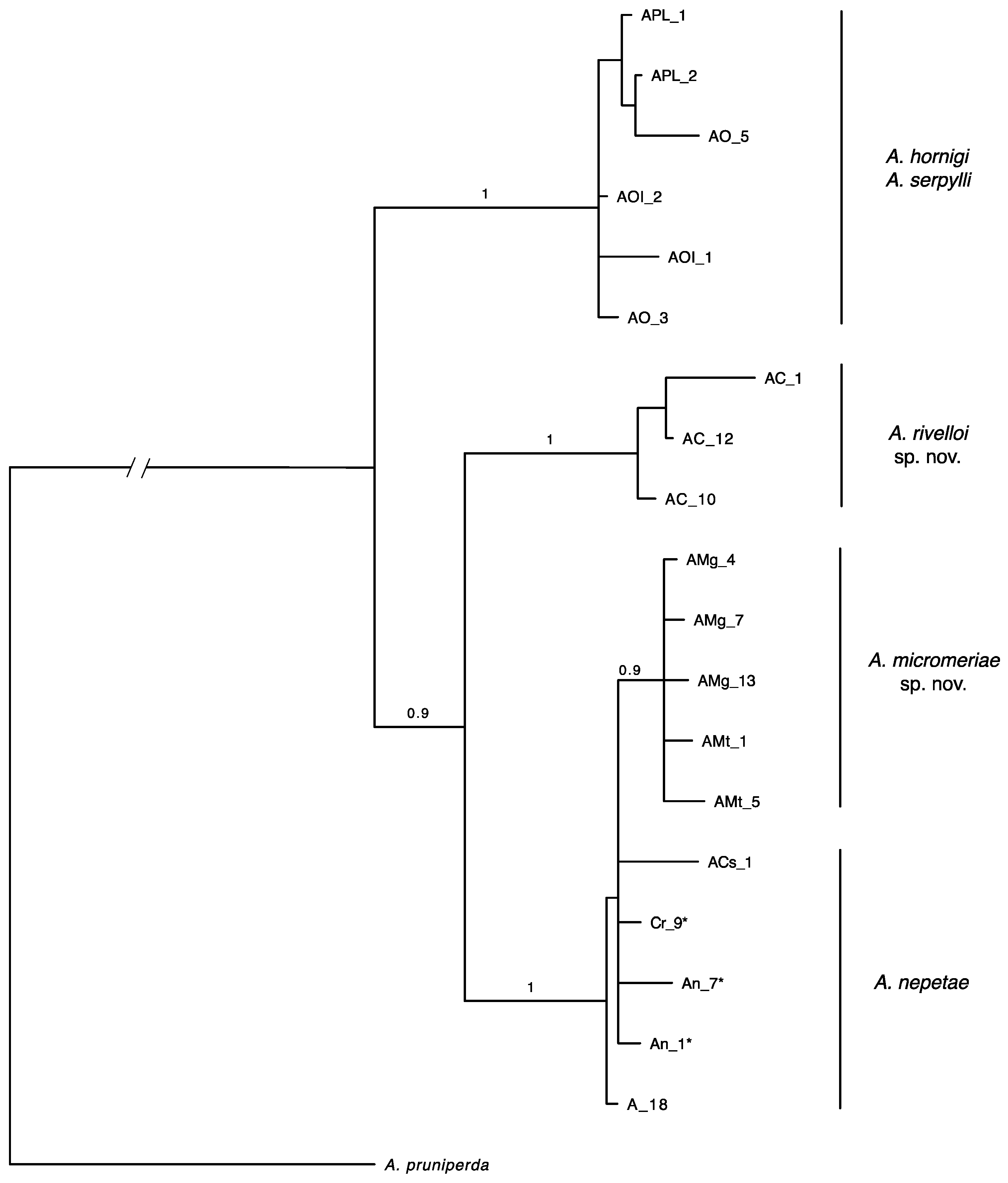Insects 12 00958 g002 550