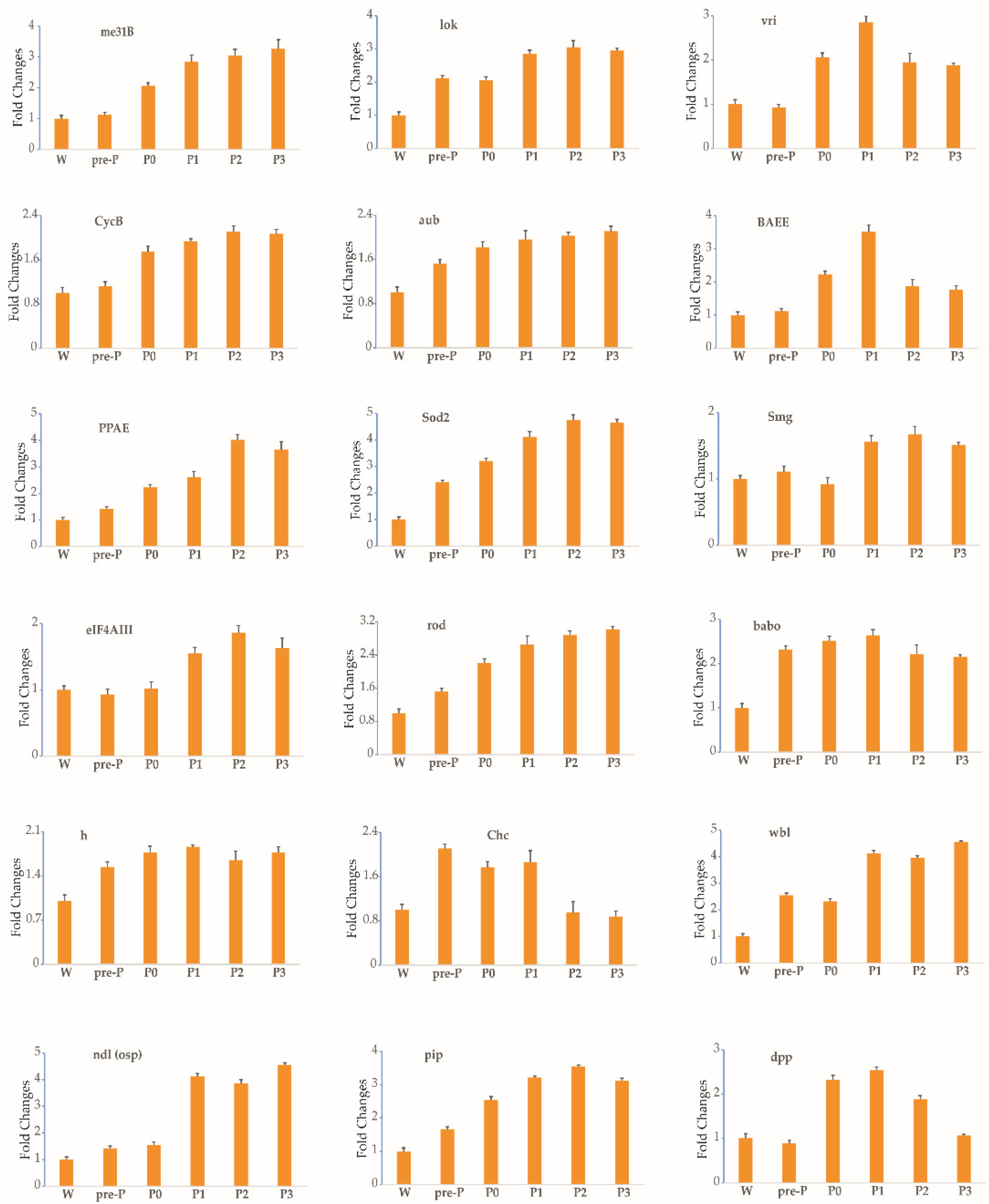 Insects 12 00969 g002