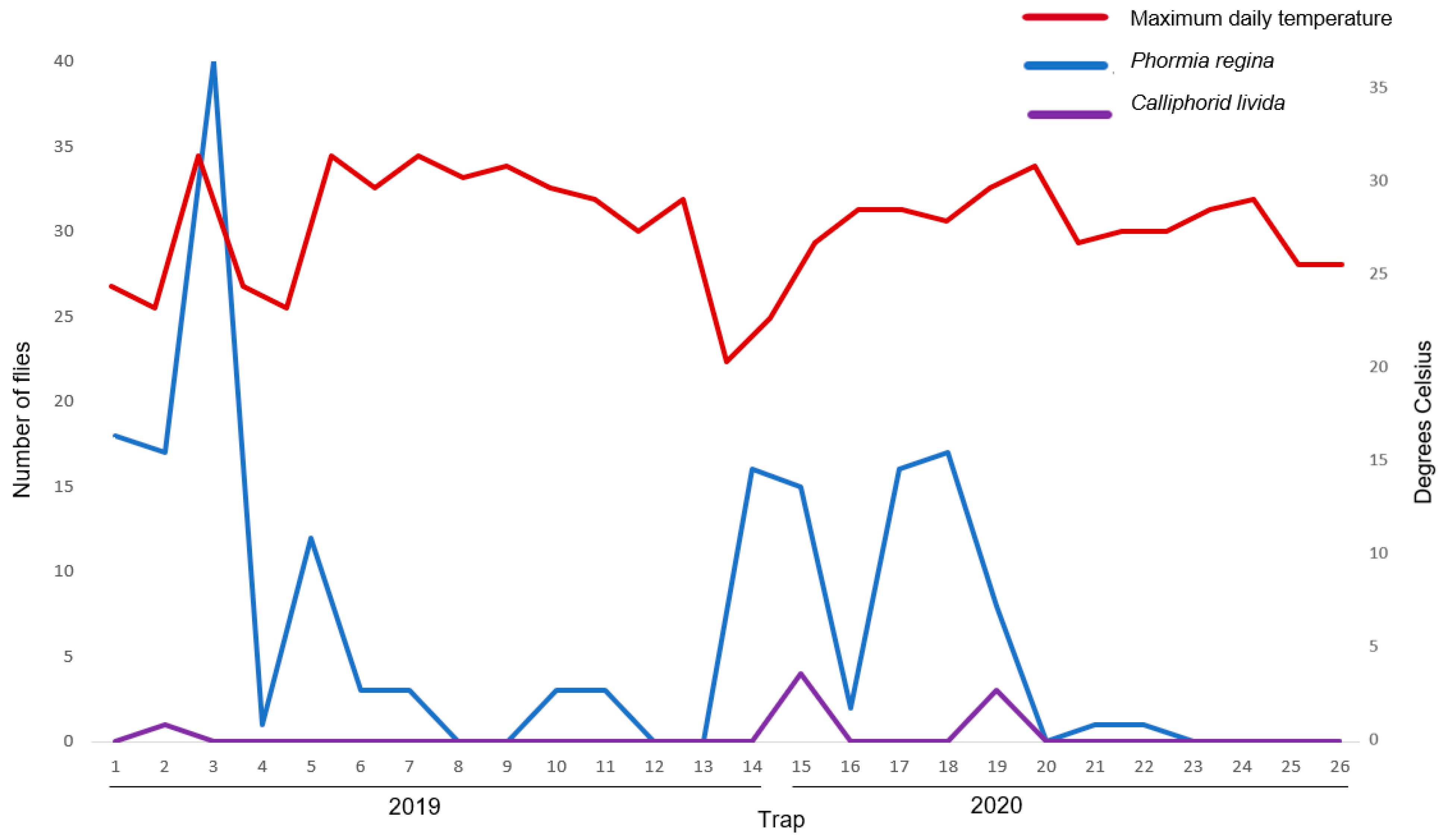Insects 12 00972 g002