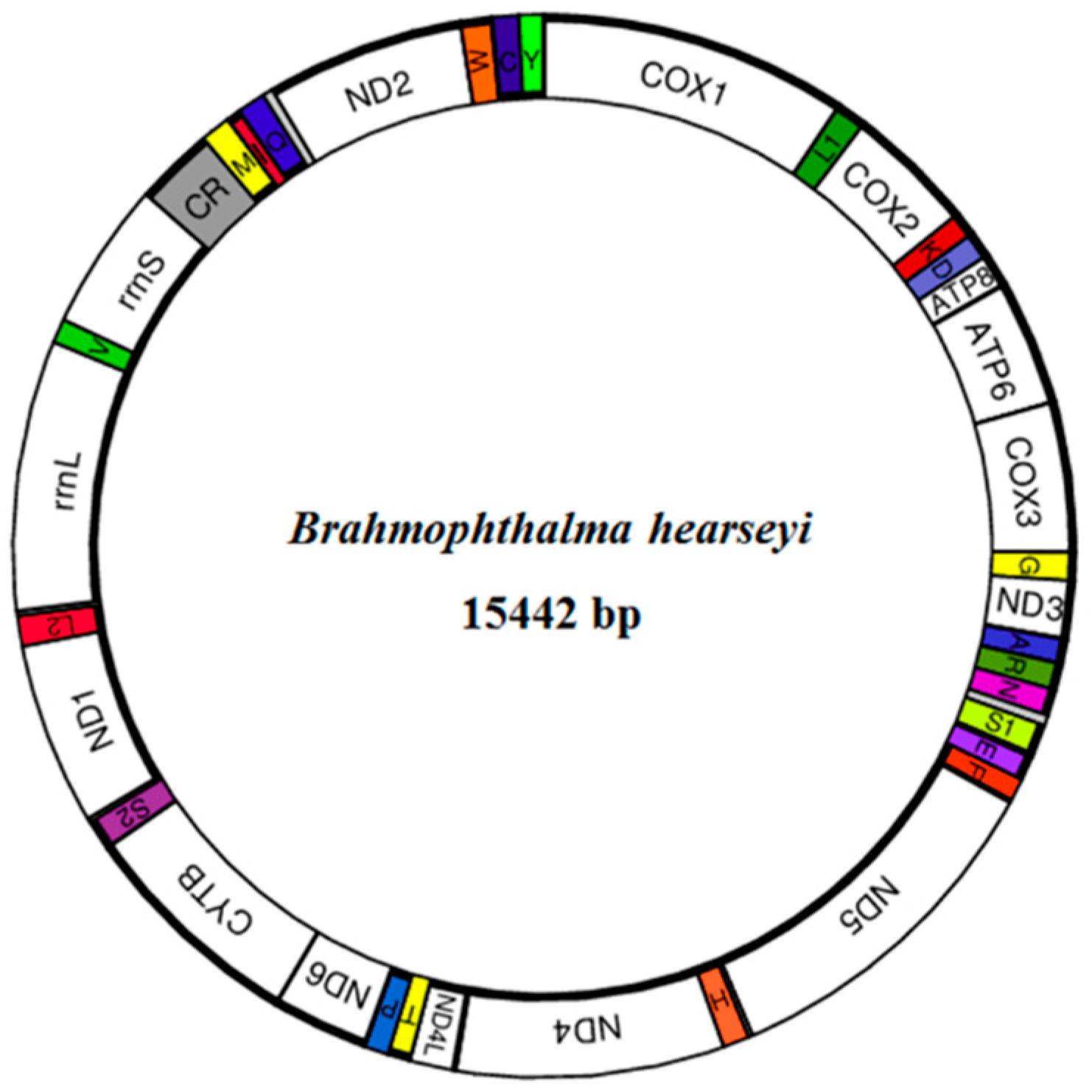 Insects 12 00973 g001 550