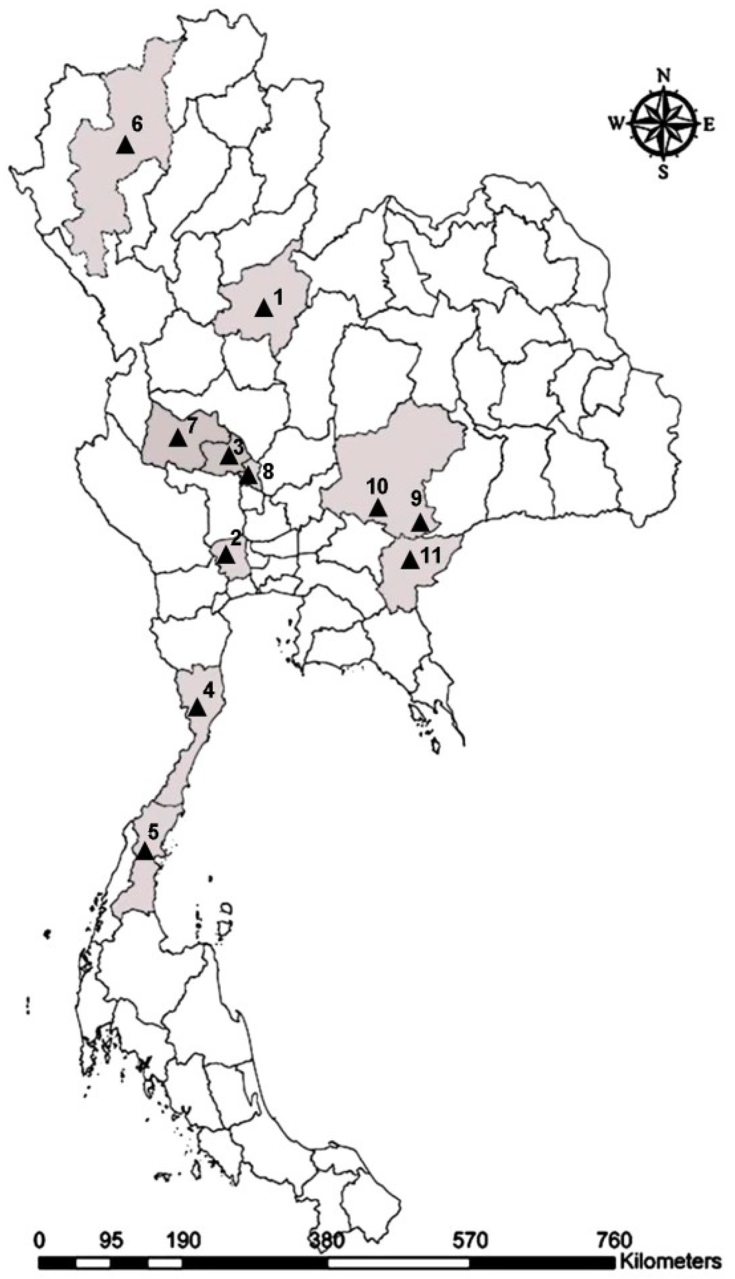 Insects 12 00974 g003