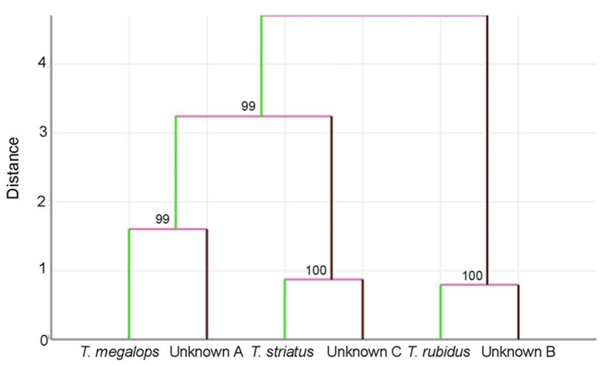 Insects 12 00974 g009