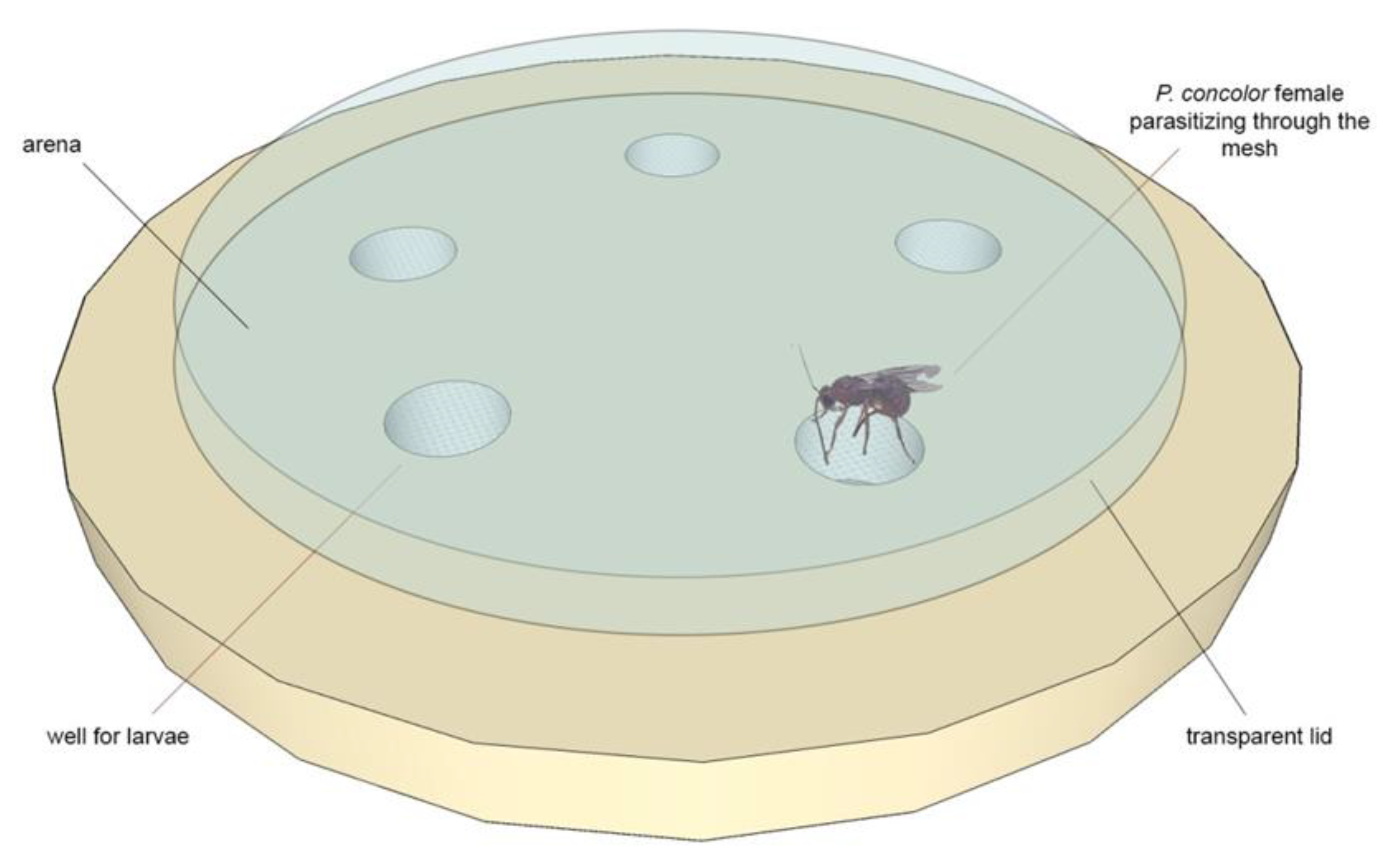 Insects 12 00980 g001 Insects 12 00980 g001