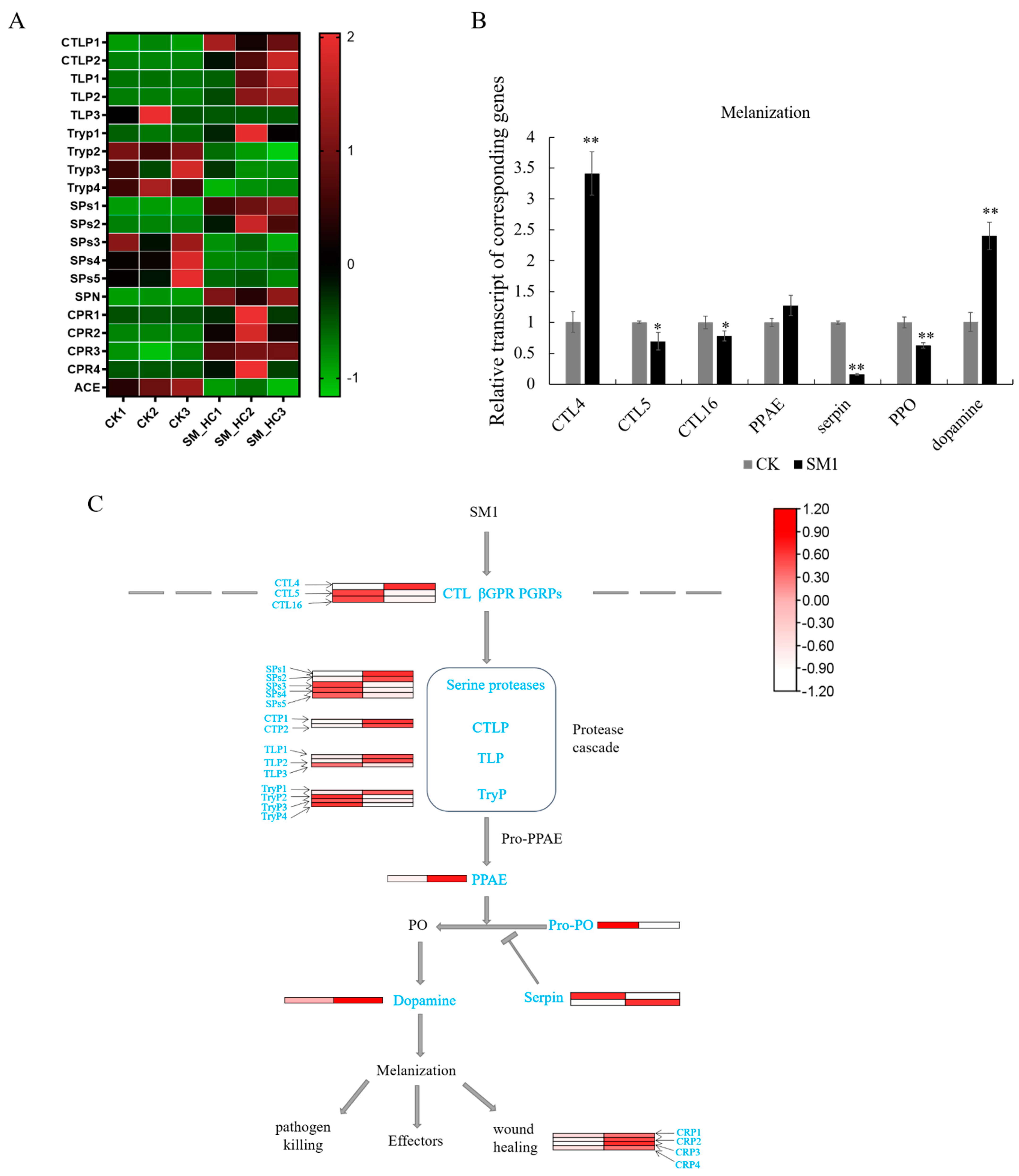 Insects 12 00983 g004 Insects 12 00983 g004