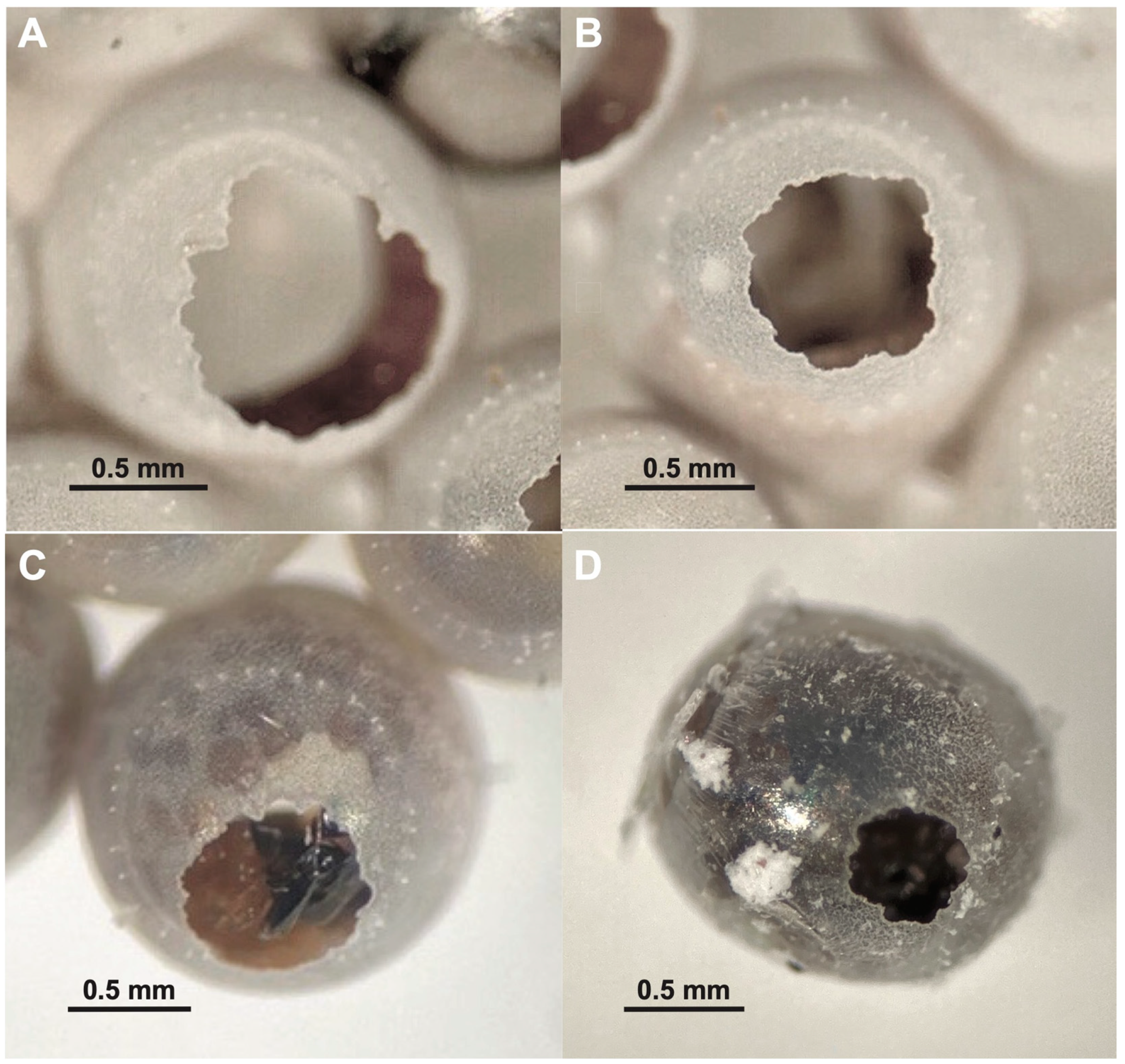 Insects 12 00984 g003 Insects 12 00984 g003