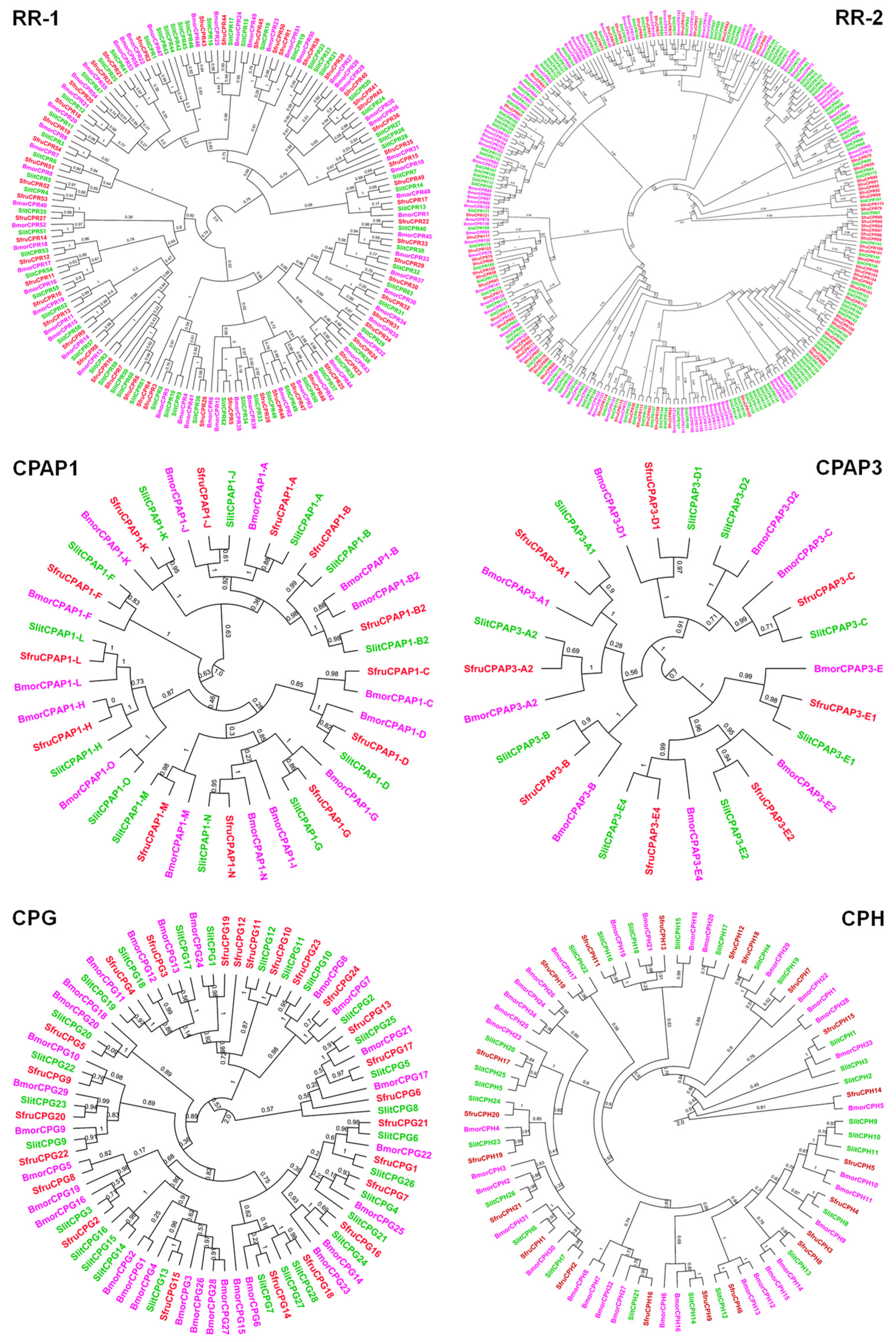 Insects 12 00997 g001