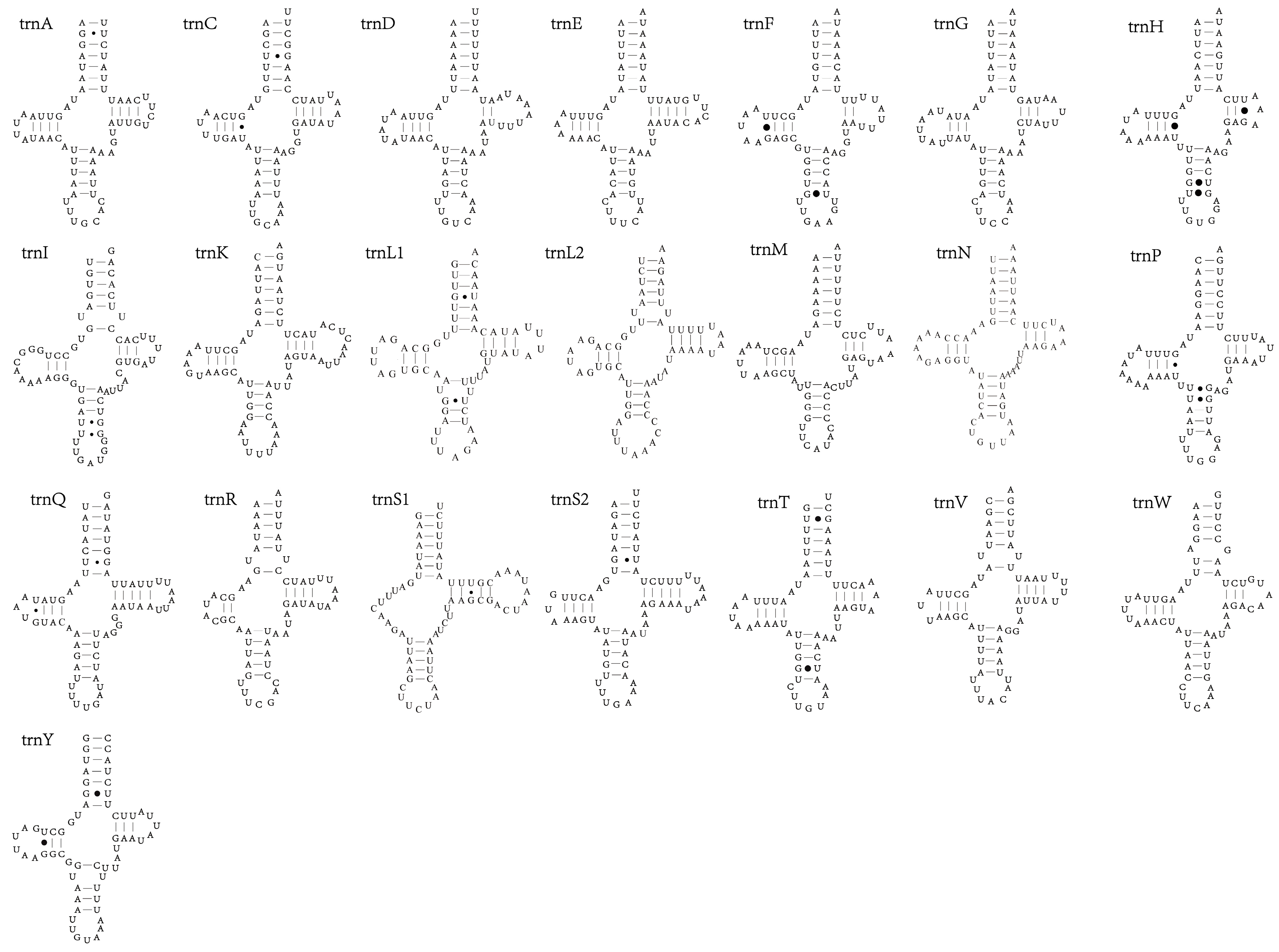Insects 12 01005 g003