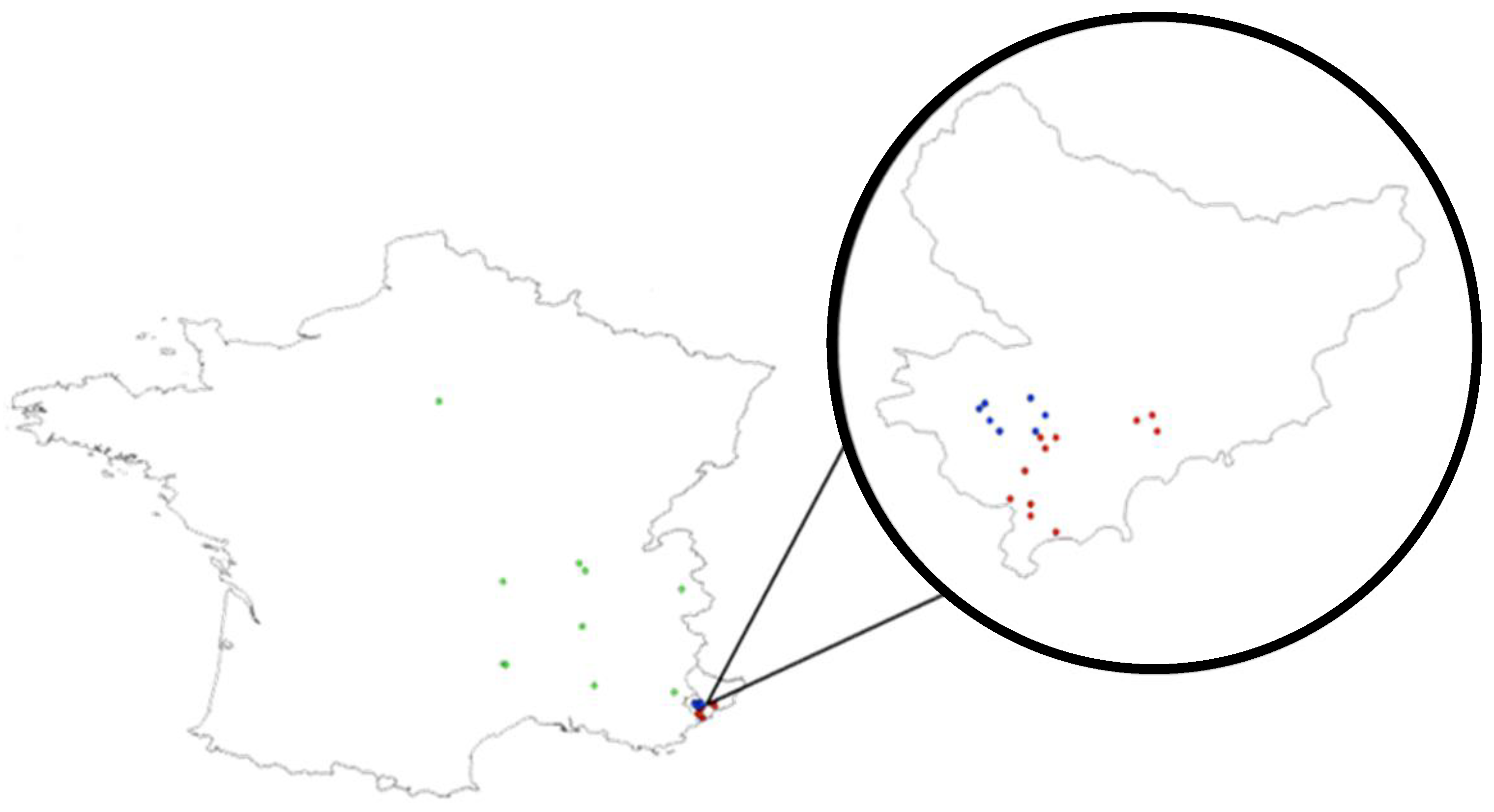 Insects 12 01013 g001 550