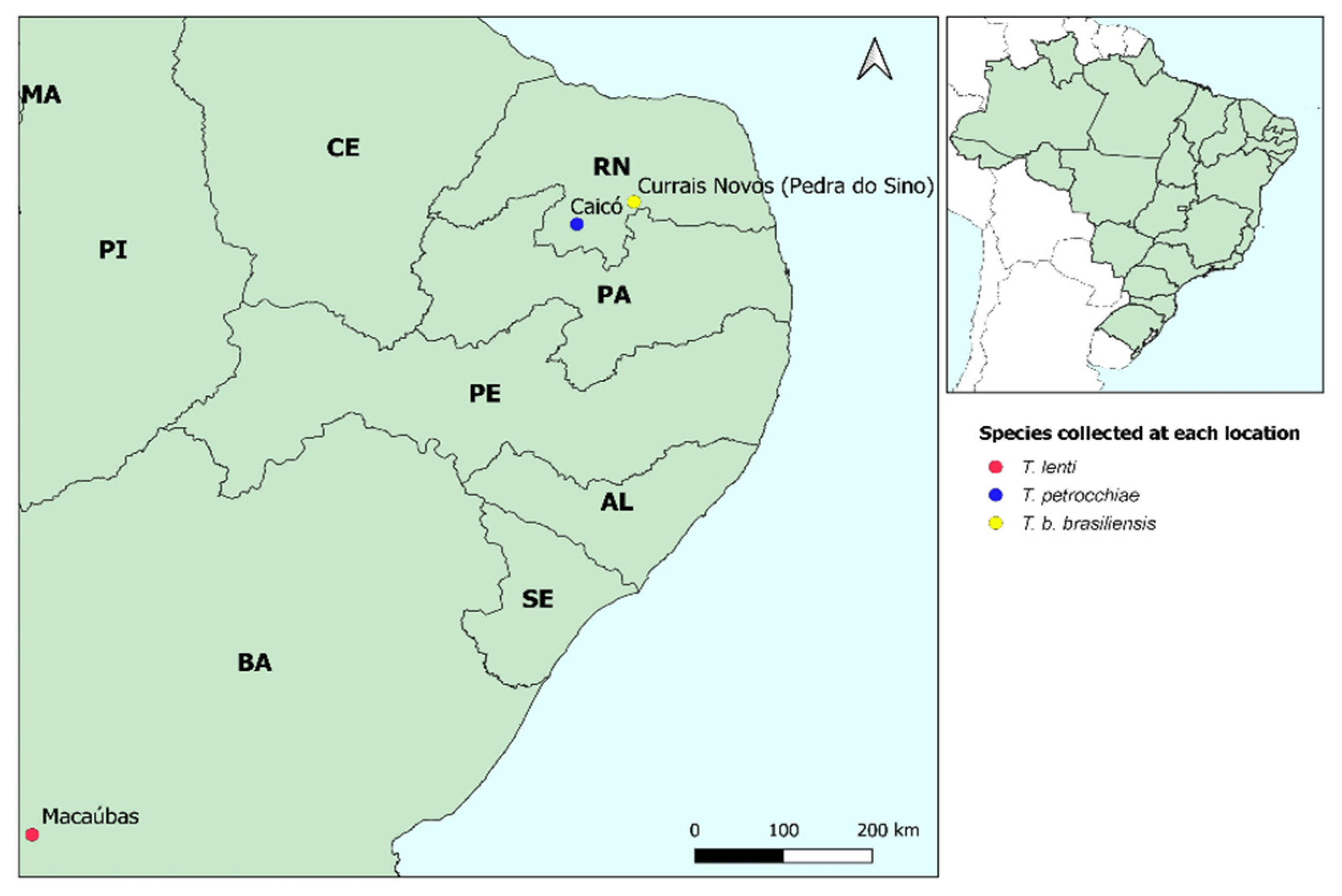Insects 12 01015 g001 Insects 12 01015 g001