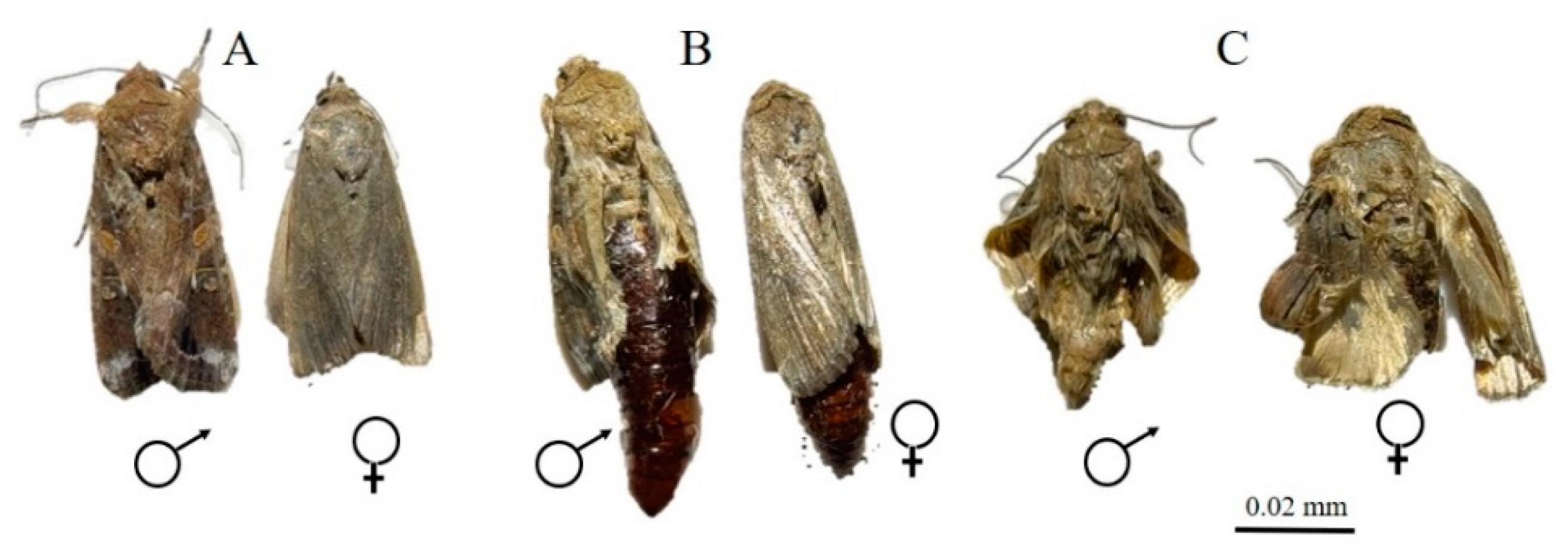 Insects 12 01017 g001 550
