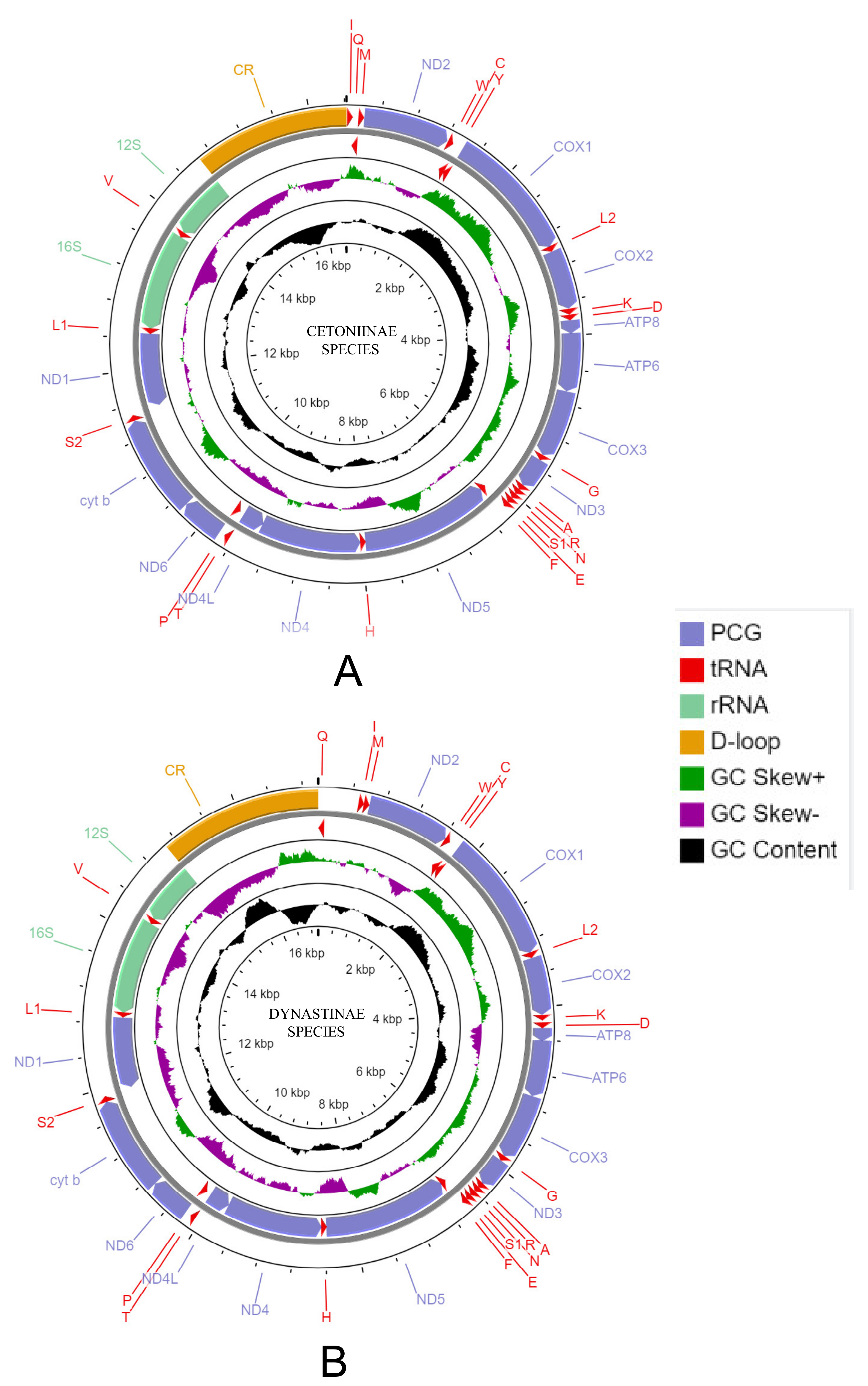 Insects 12 01025 g001