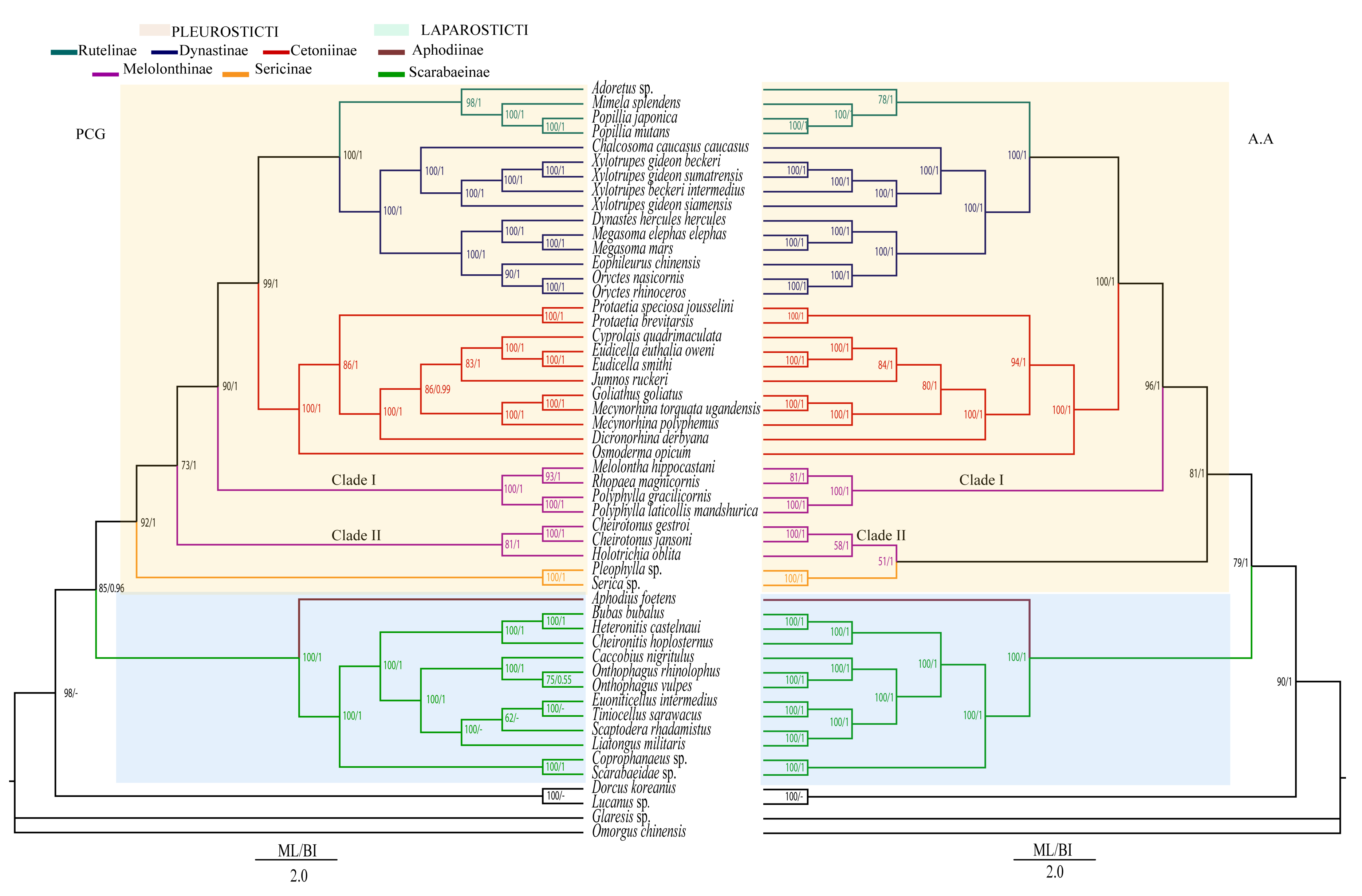 Insects 12 01025 g003