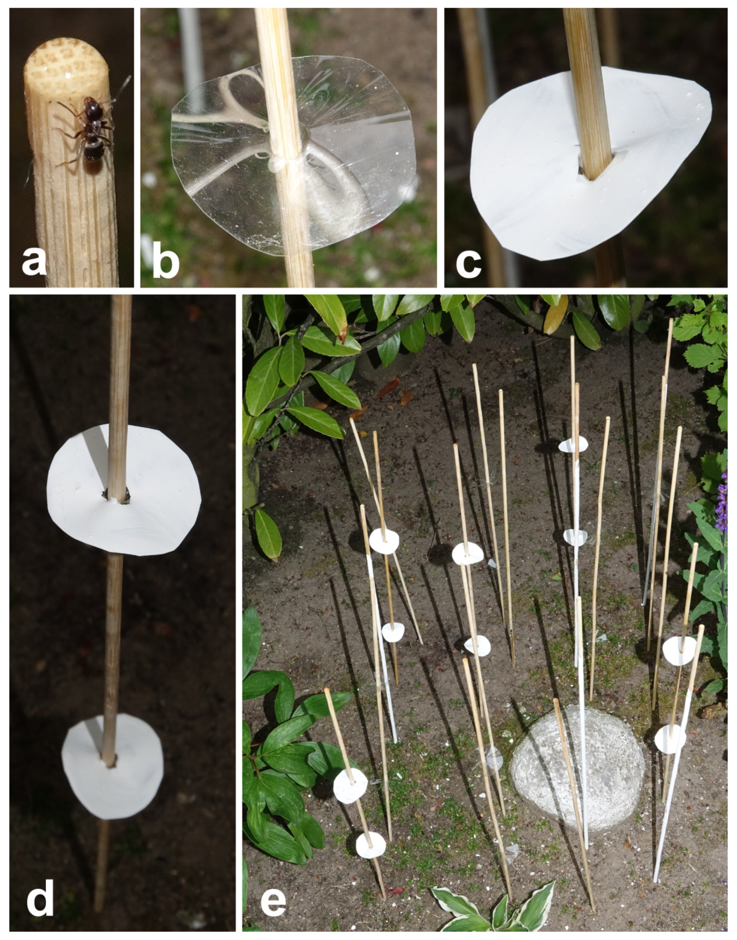 Insects 12 01026 g002