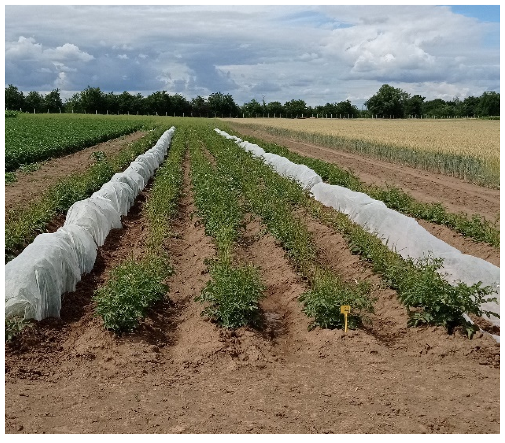 Insects 12 01030 g001