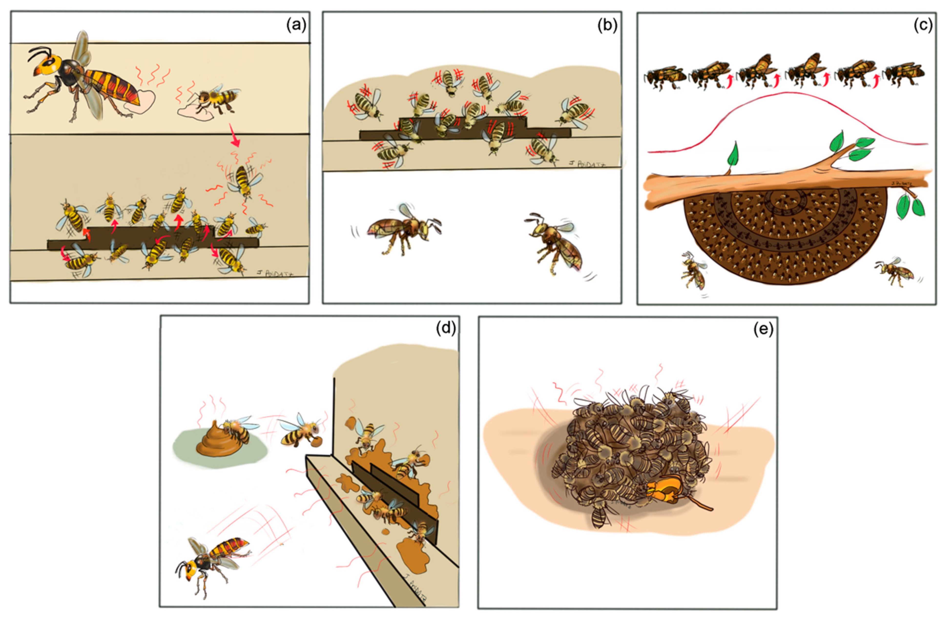 Insects 12 01037 g003