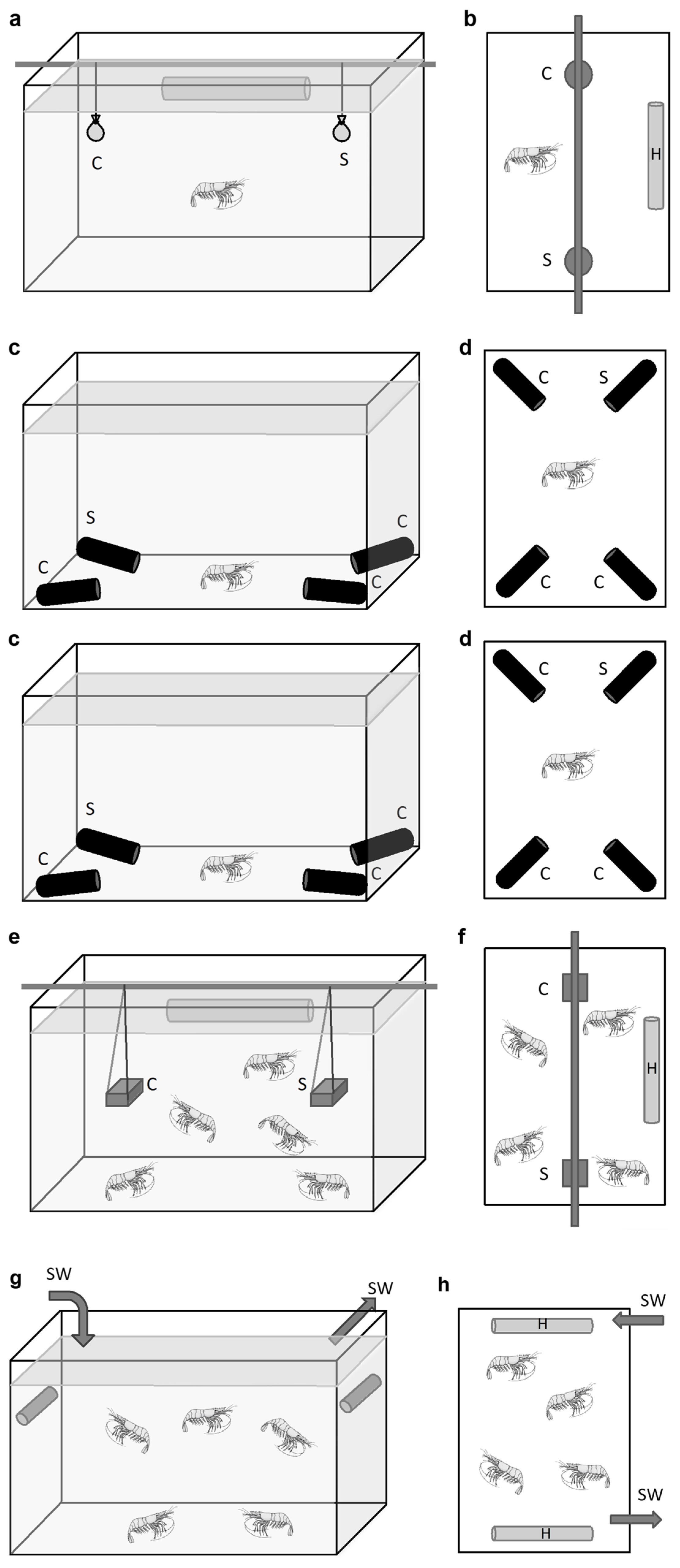 Insects 12 01043 g005 Insects 12 01043 g005