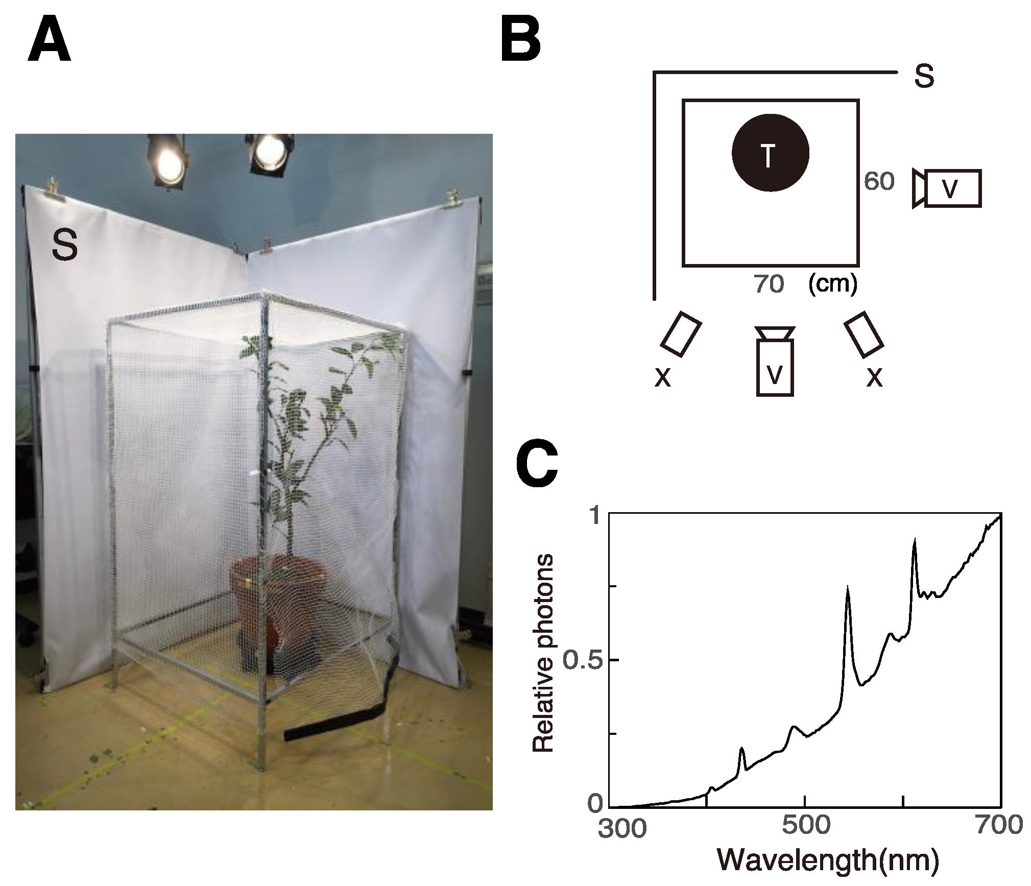 Insects 12 01047 g001