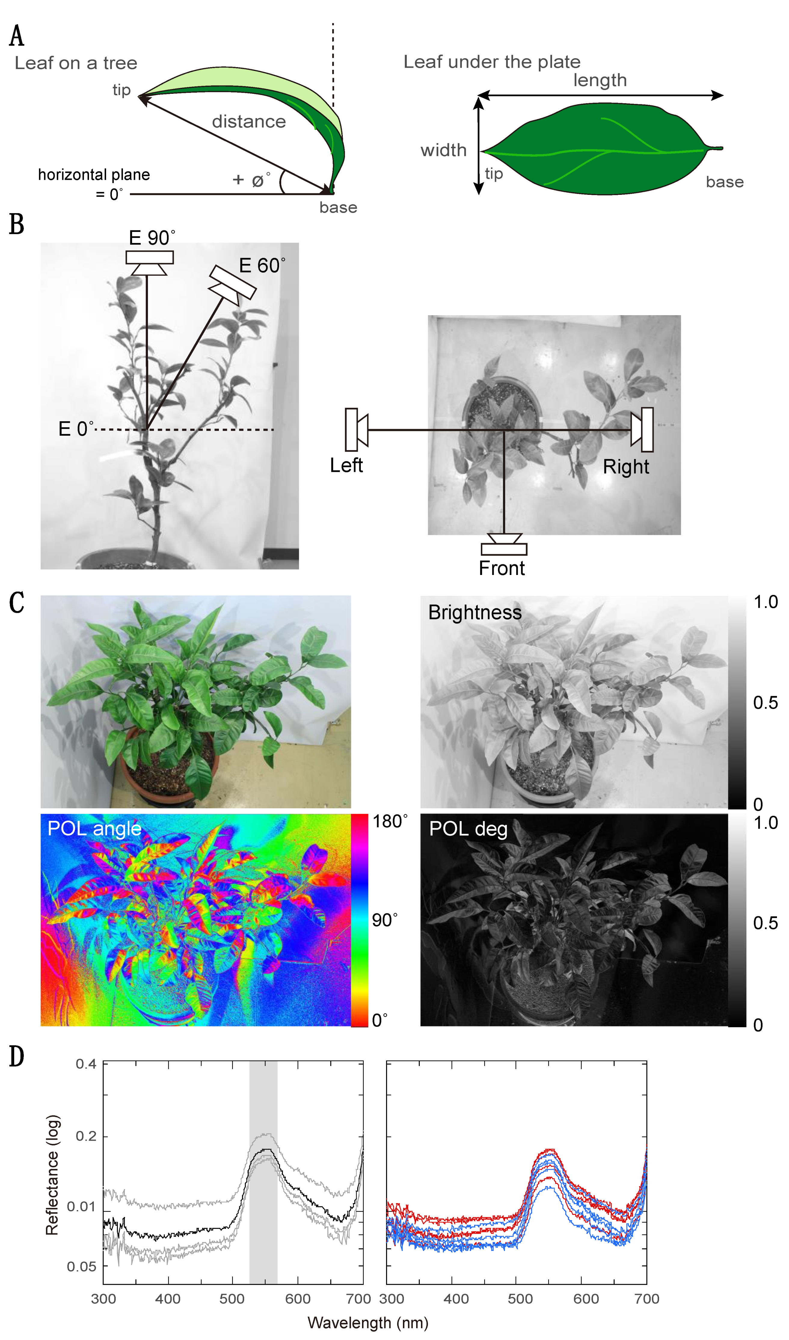 Insects 12 01047 g002