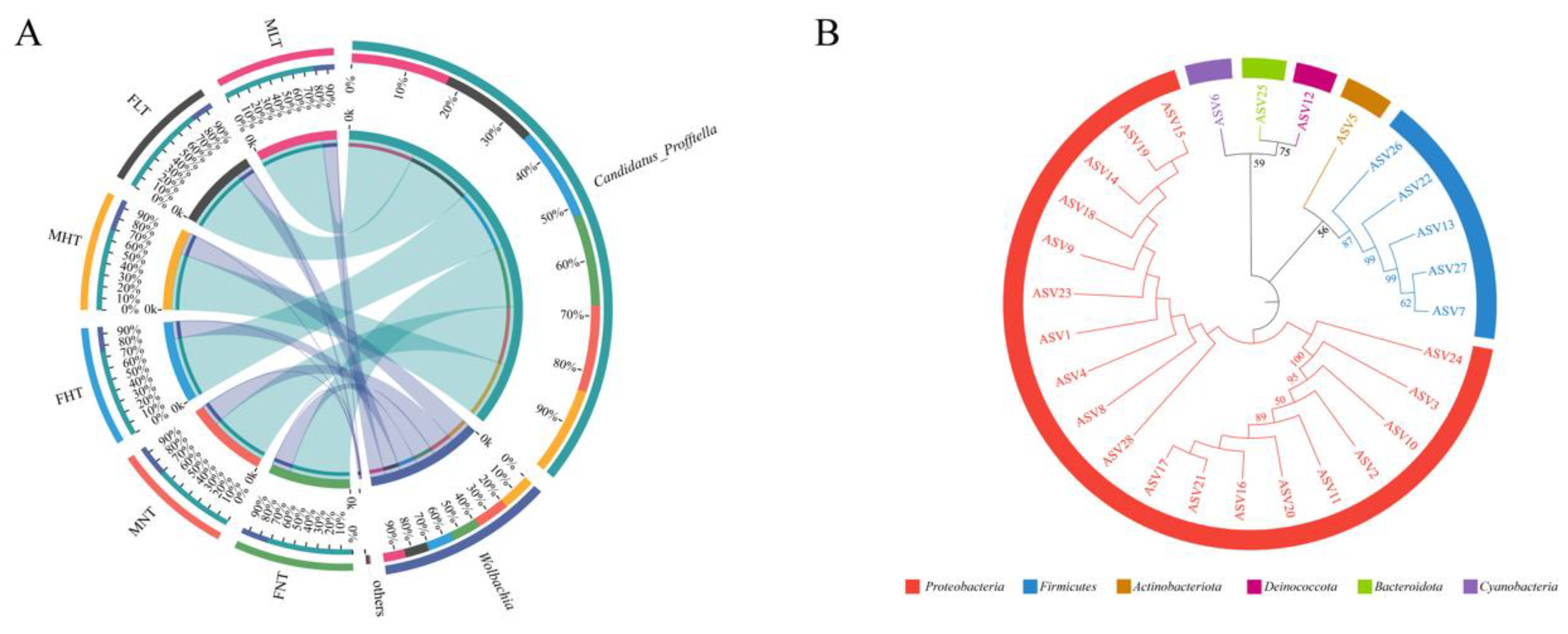 Insects 12 01054 g002
