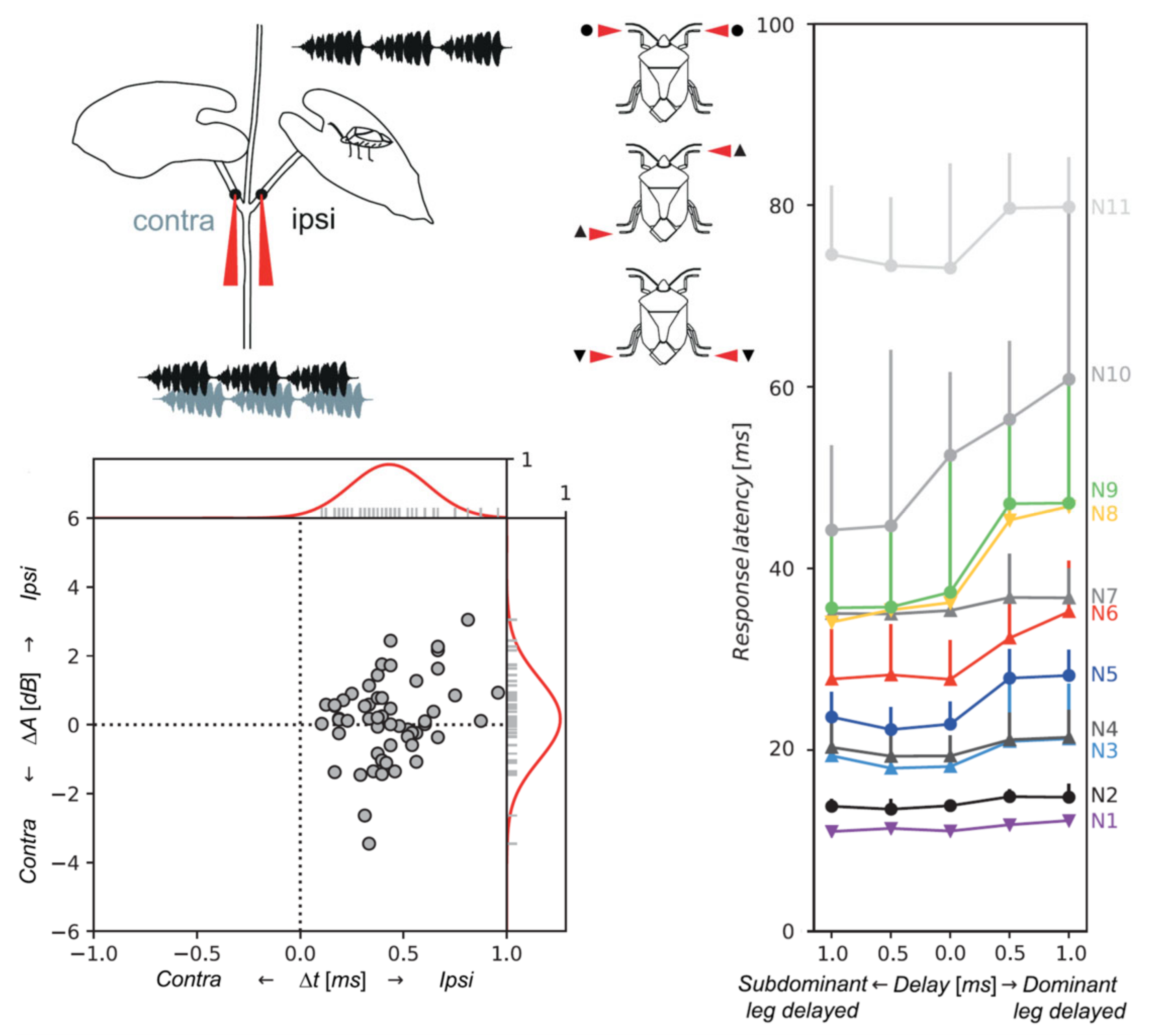 Insects 12 01058 g006