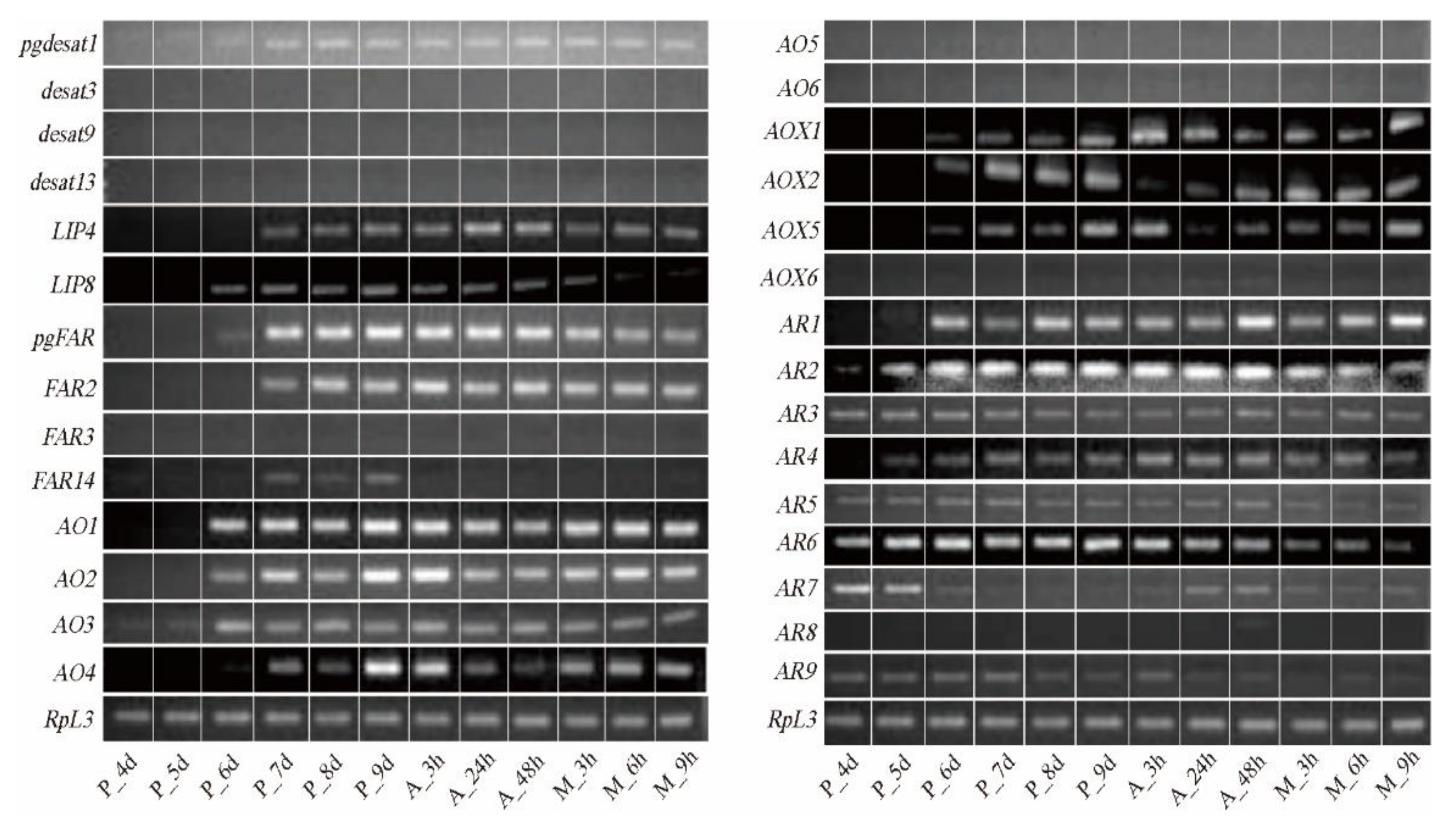 Insects 12 01062 g004 550